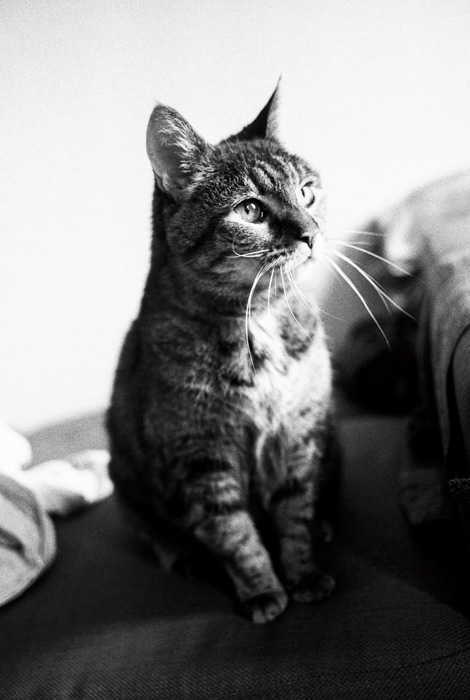 Misty, 2021