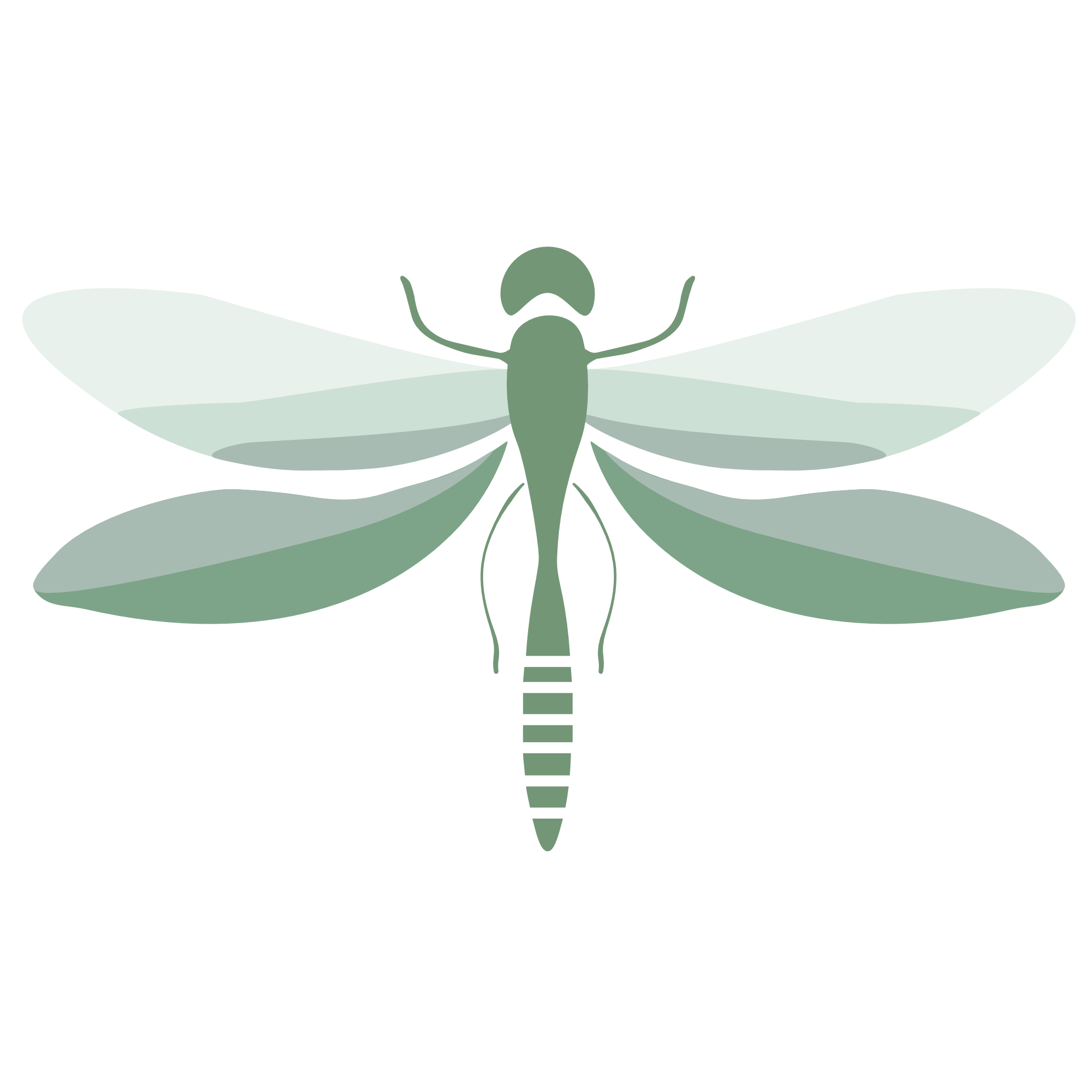 Therapy by Dragonfly