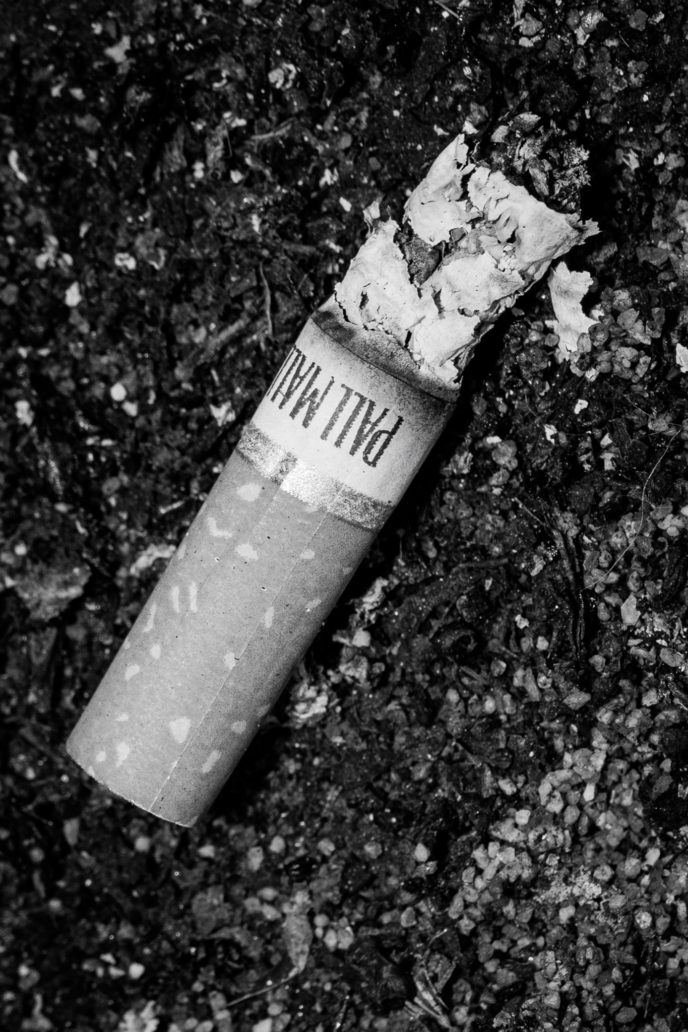 A cigarette lies in an ash tray outside of downtown Flagstaff. During this final week of shooting, I really wanted to take the idea of macro photography and really take all my skills of b&w and put it into practice. I walked past this ash tray and noticed that this cigarette had a lot more texture than the other ones that were in the tray with it.  I loved how much it contrasted from the black ashes. Taken on the Canon EF 100mm Macro lens. April 10,2026.