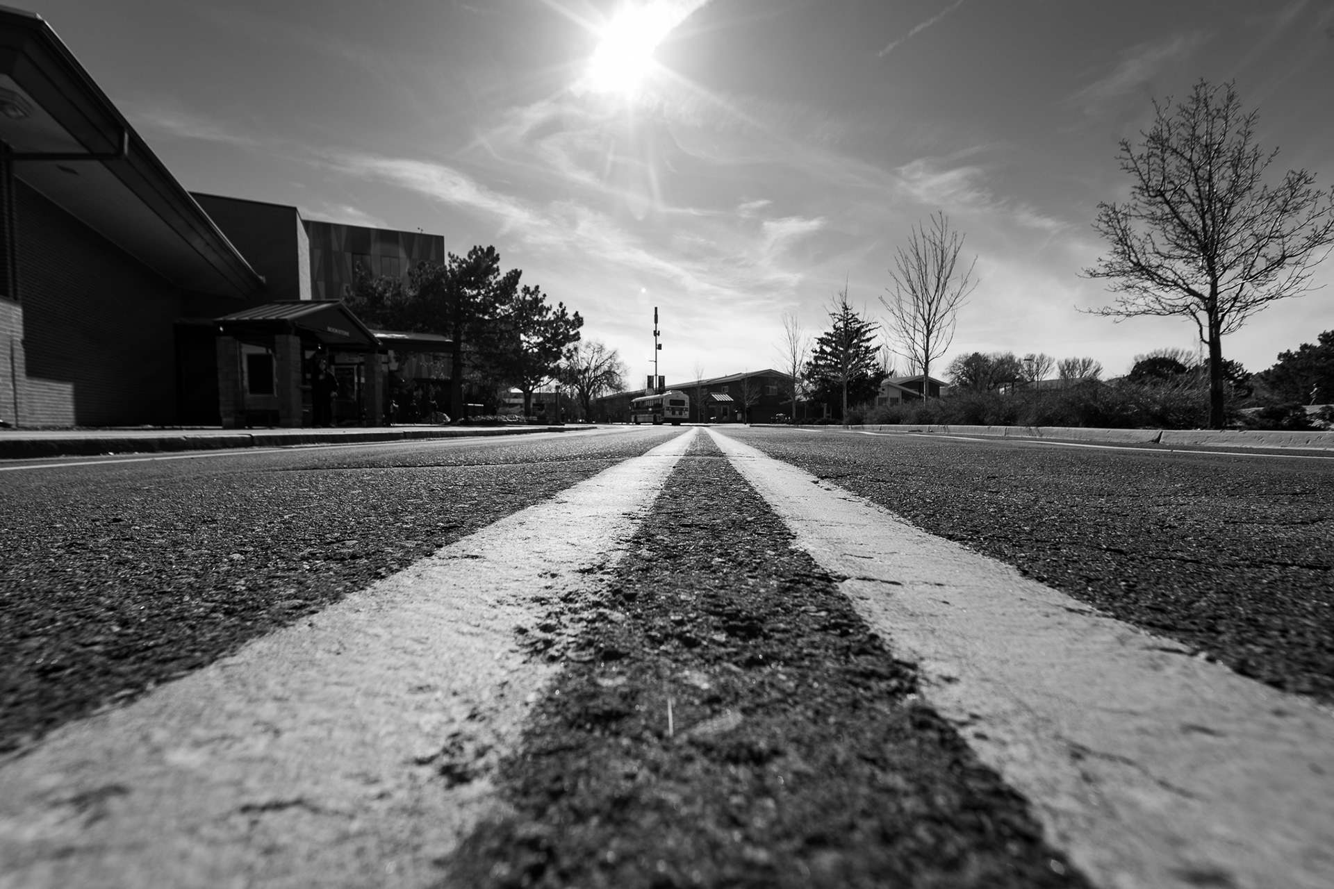 The road on north campus in Flagstaff. This was the first photo idea that I had for this independent study. I really liked this idea that I had with a cool vanishing point while also creating some distortion from the lens at the mid line. All in all, it really made for a fun image with a really cool distortion affect. Shot on the Canon EF 14mm f/2.8. January 26,2026.