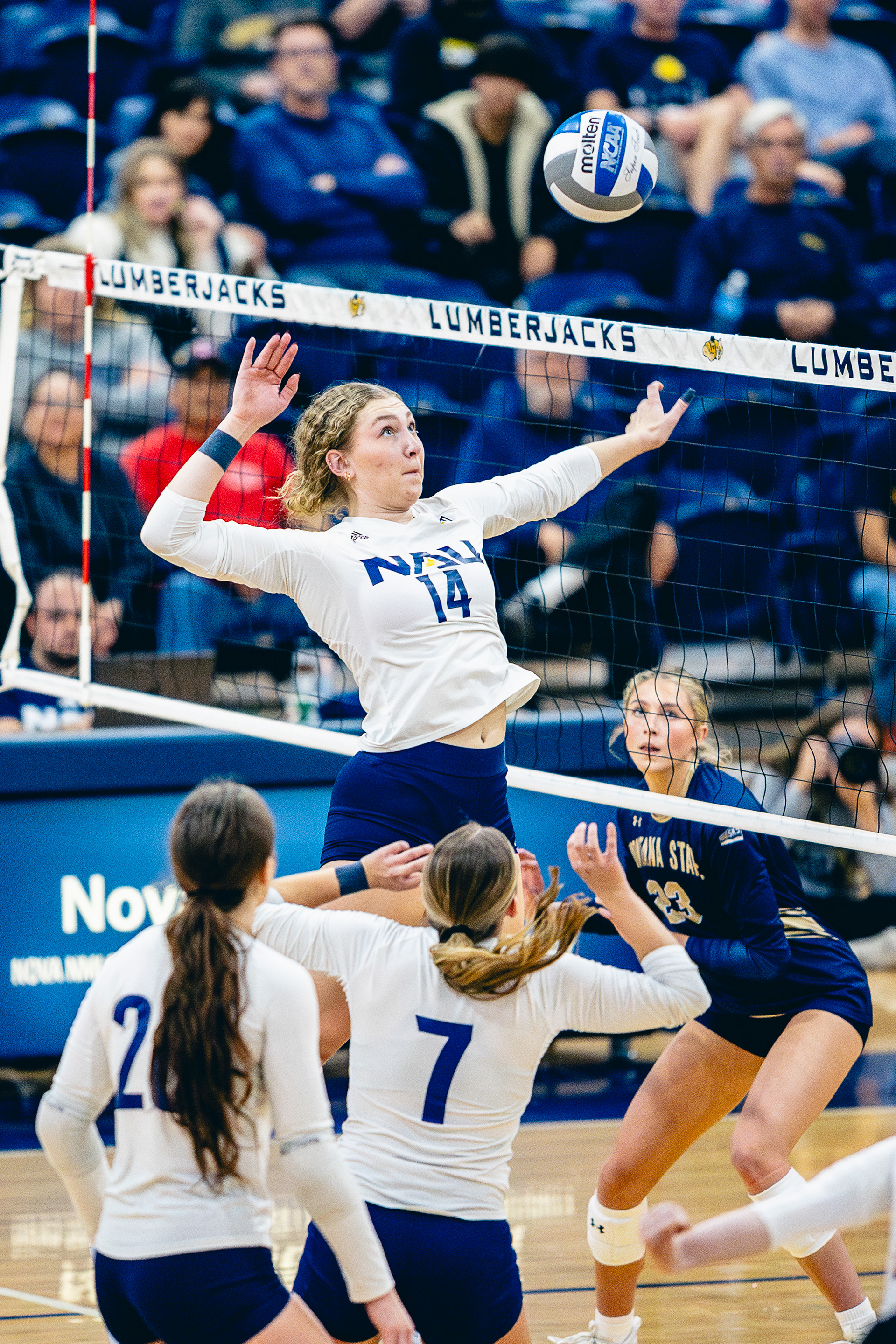 Junior middle blocker Avery Gottschalk (14) prepares to spike the ball during the Big Sky Conference game against Montana State at The Rolle Activity Center, Not. 1. 