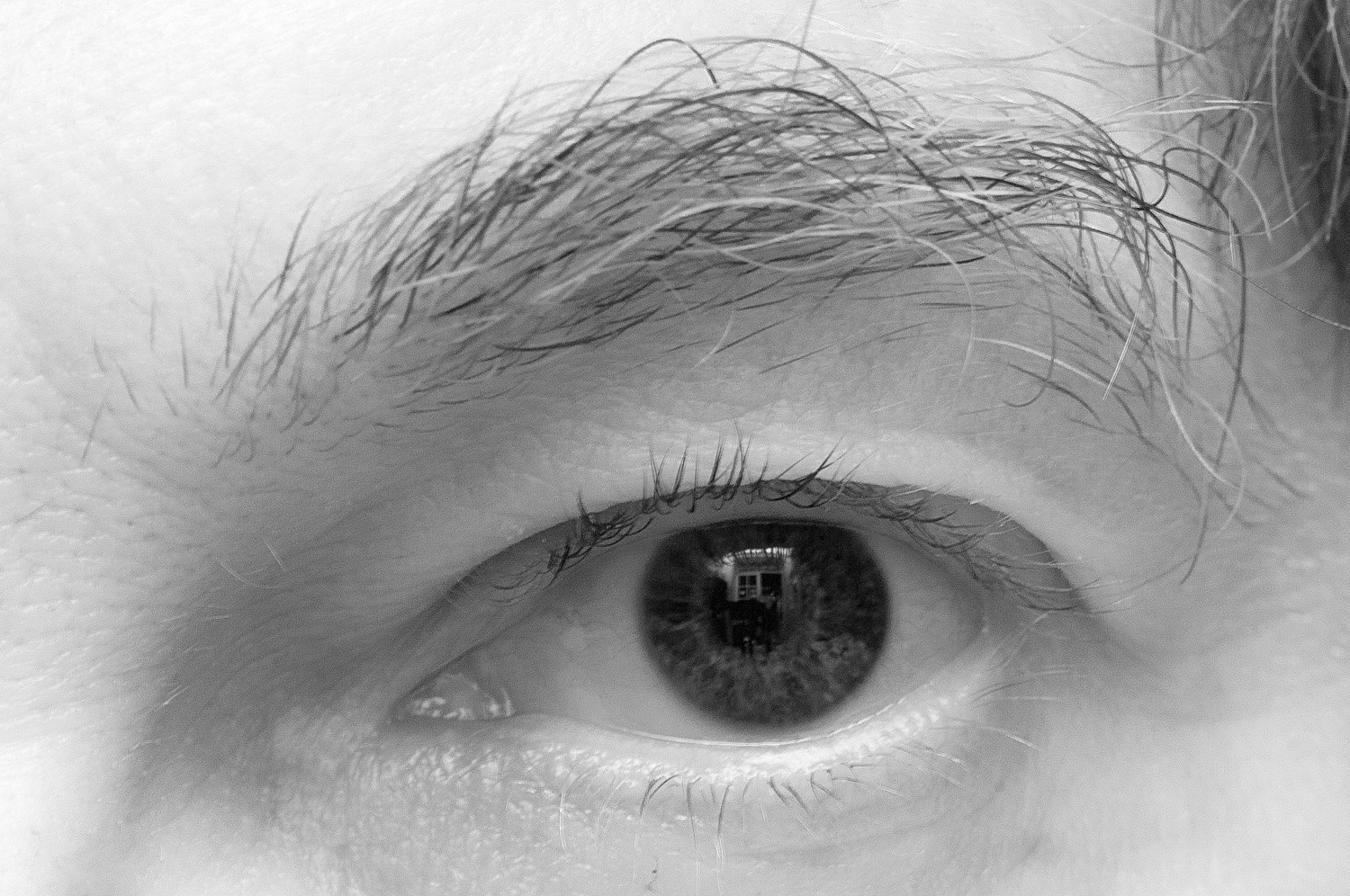 Mon oeil !