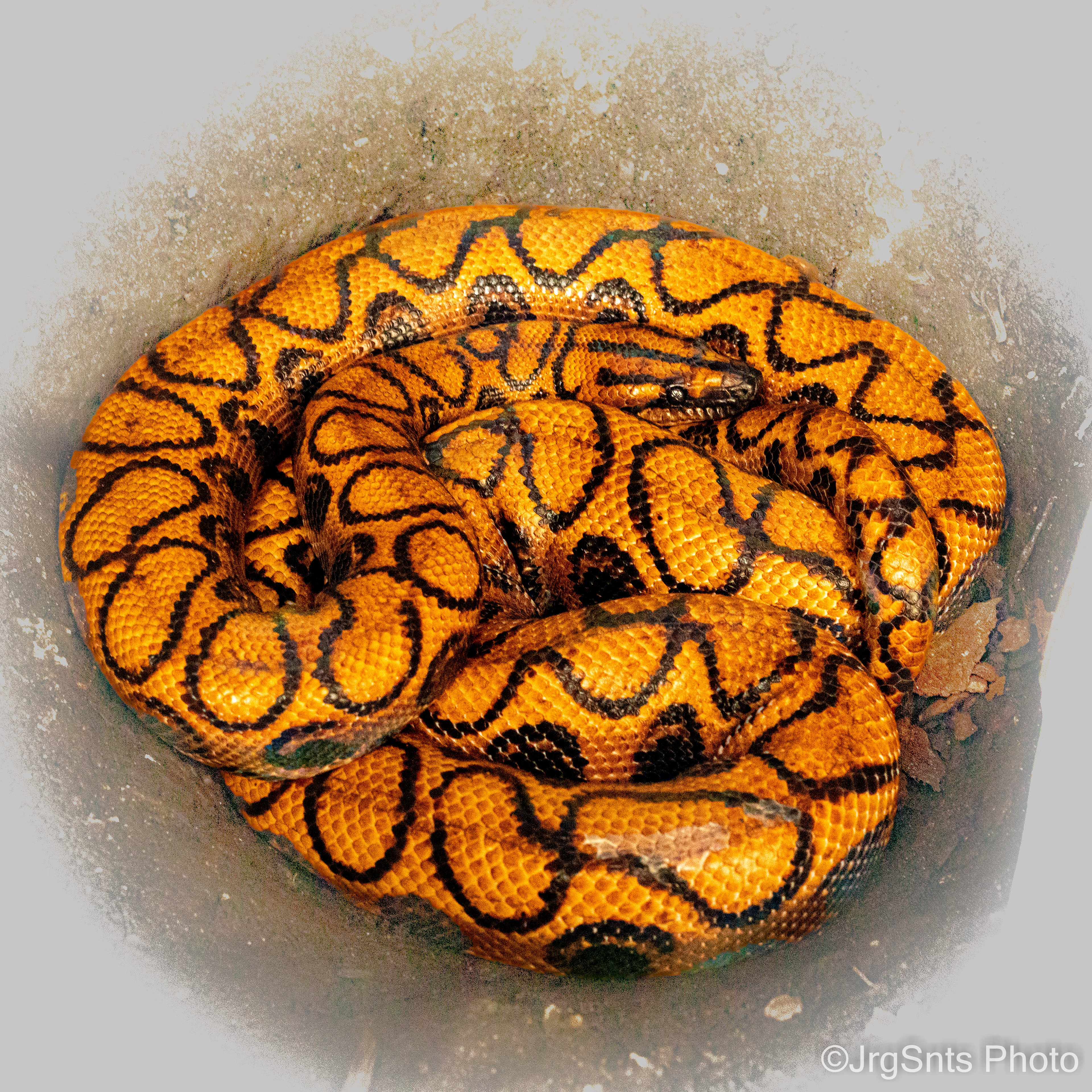 Lisboa (Portugal), april/2022.