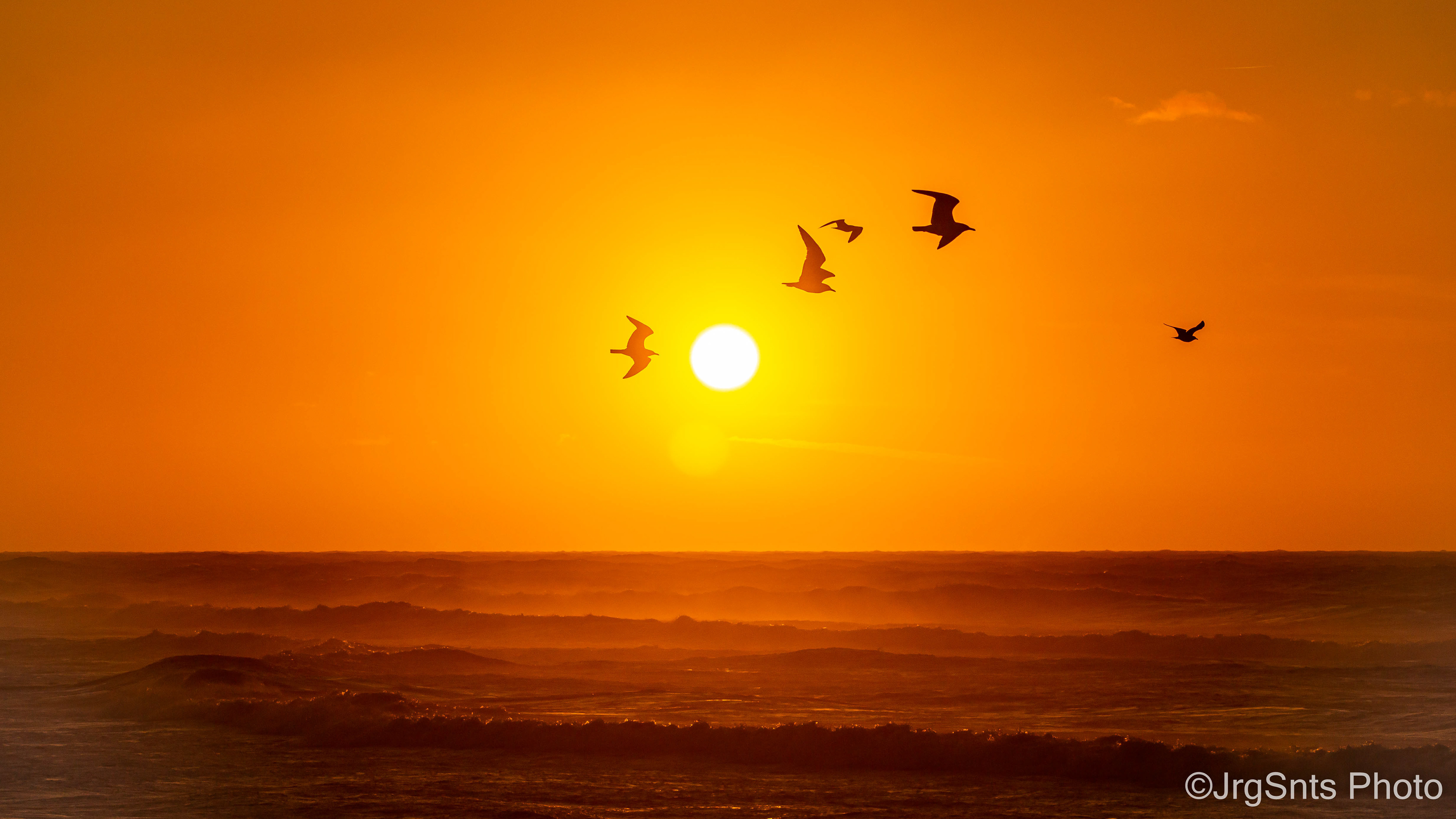 Ericeira (Portugal), february/2022.