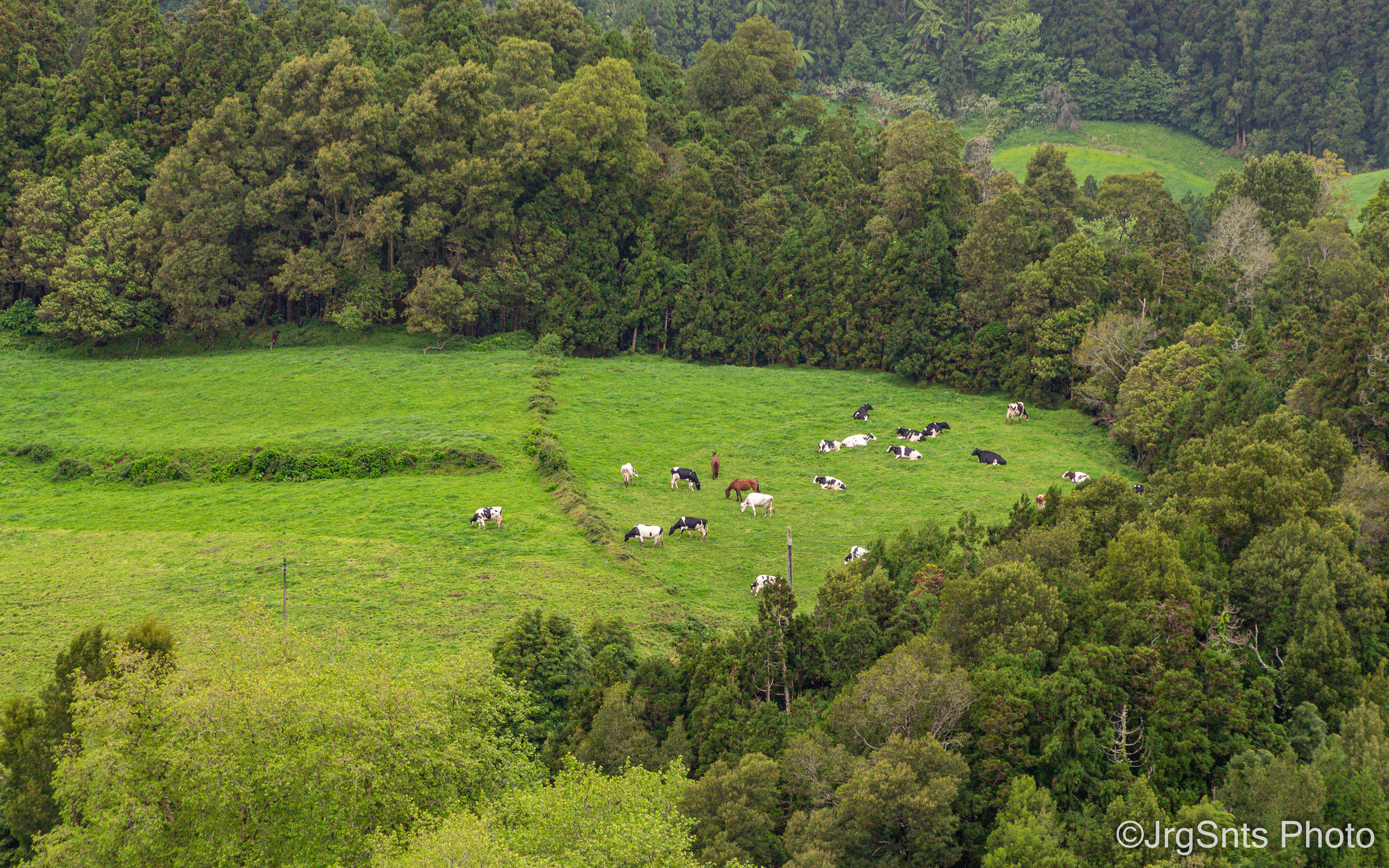 Azores (Portugal), april/2023.