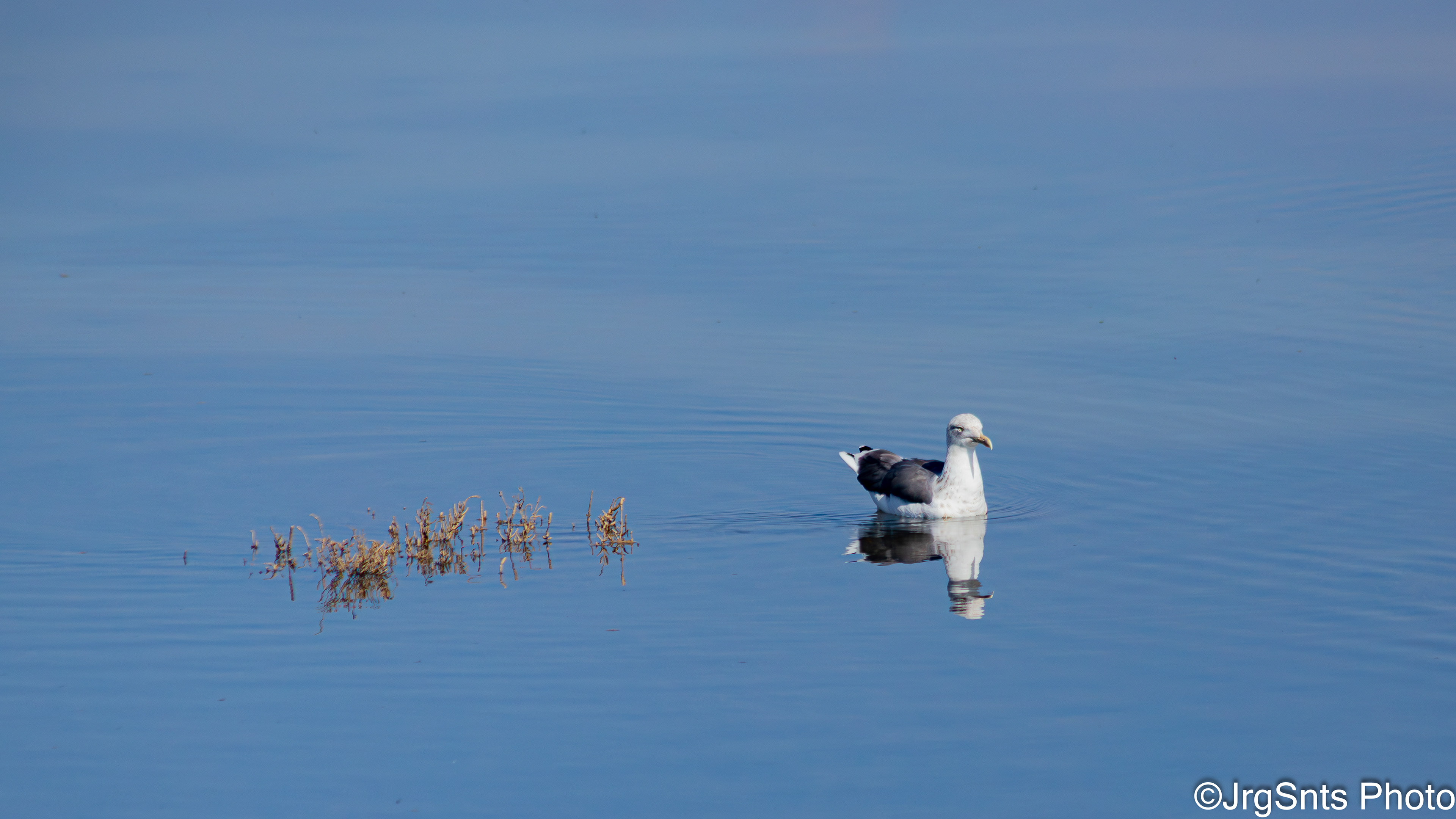Tavira (Portugal), october/2025.