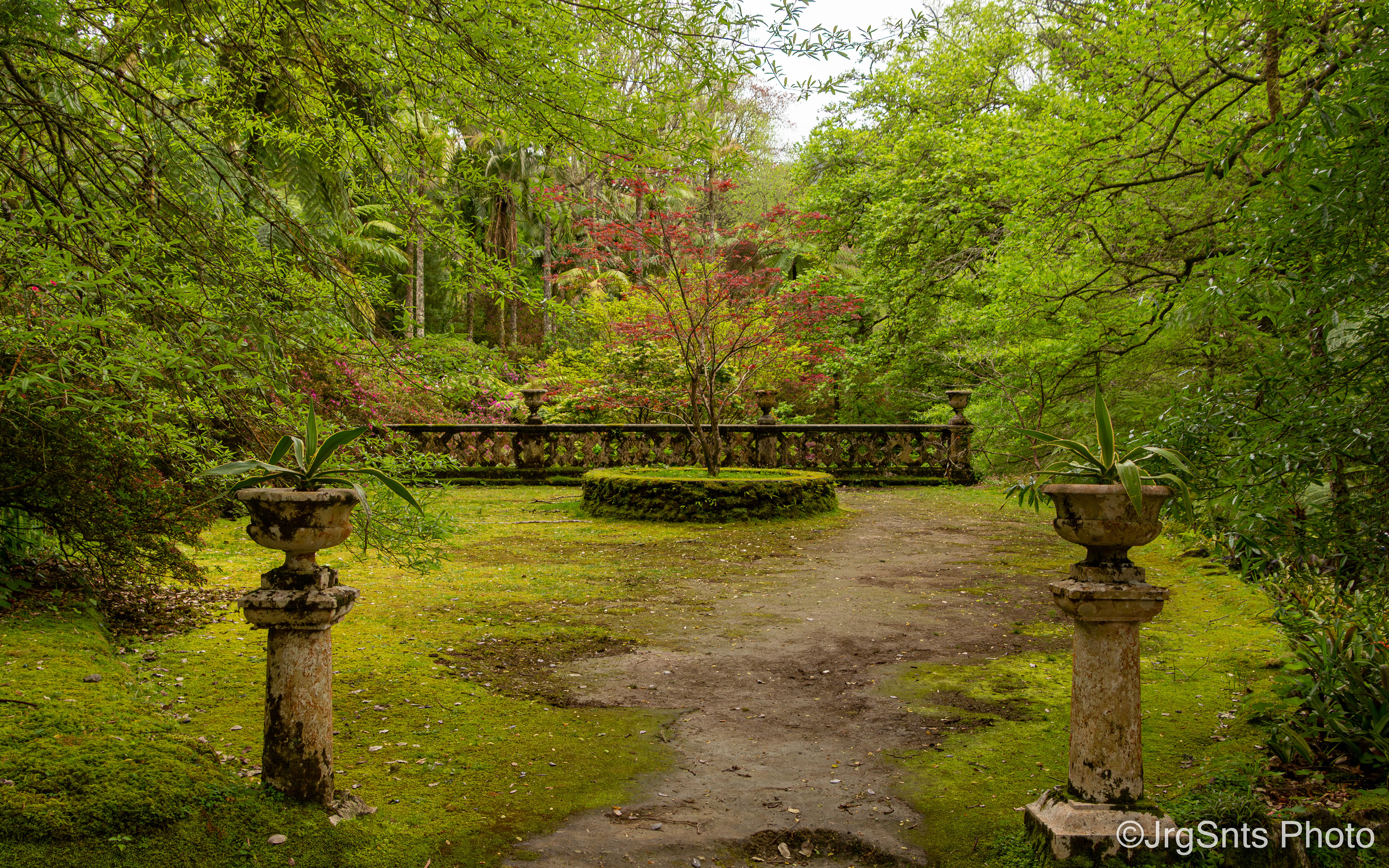 Azores (Portugal), april/2023.