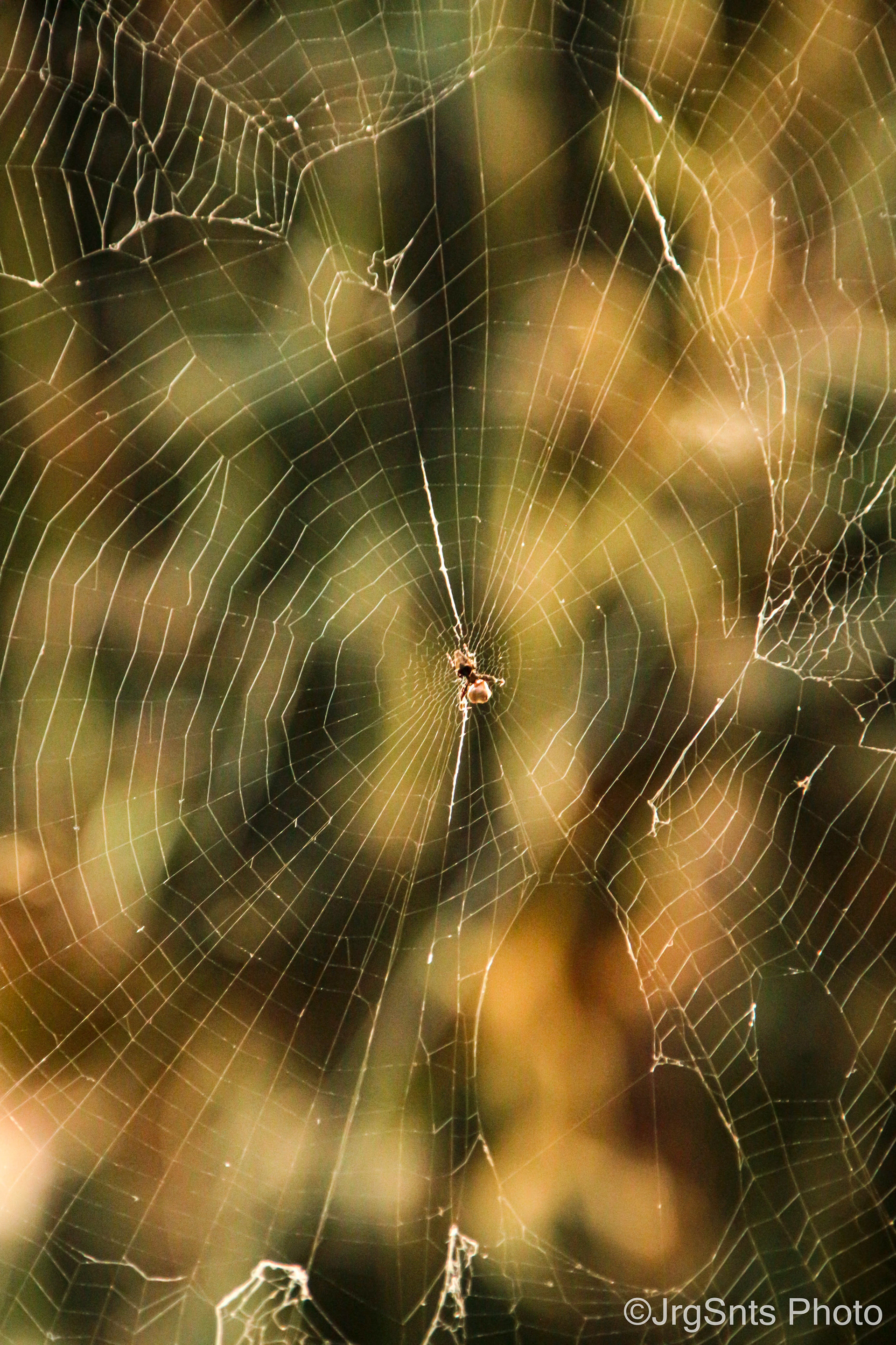 Lisboa (Portugal), agust/2021.