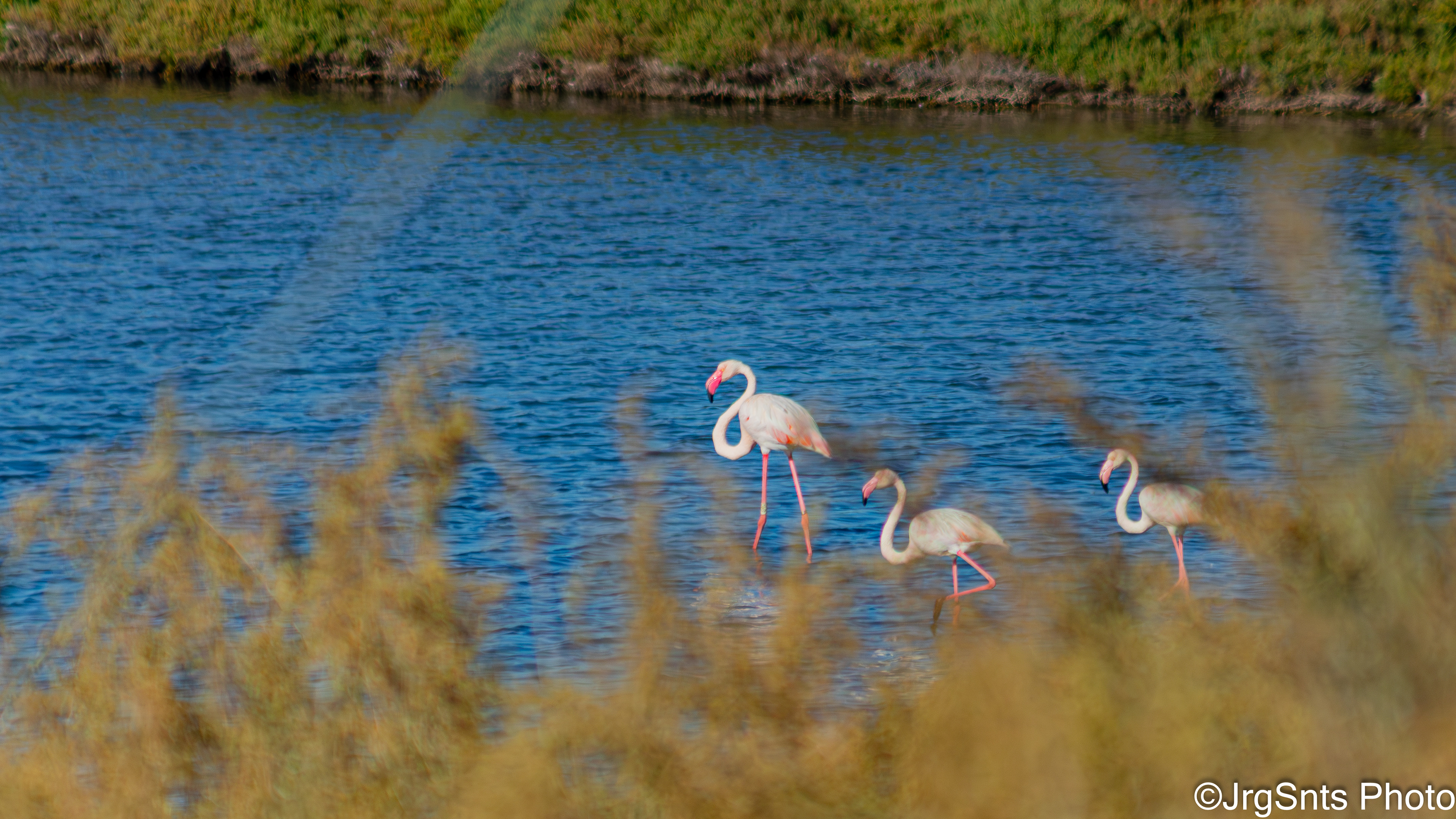Portugal, october/2025.