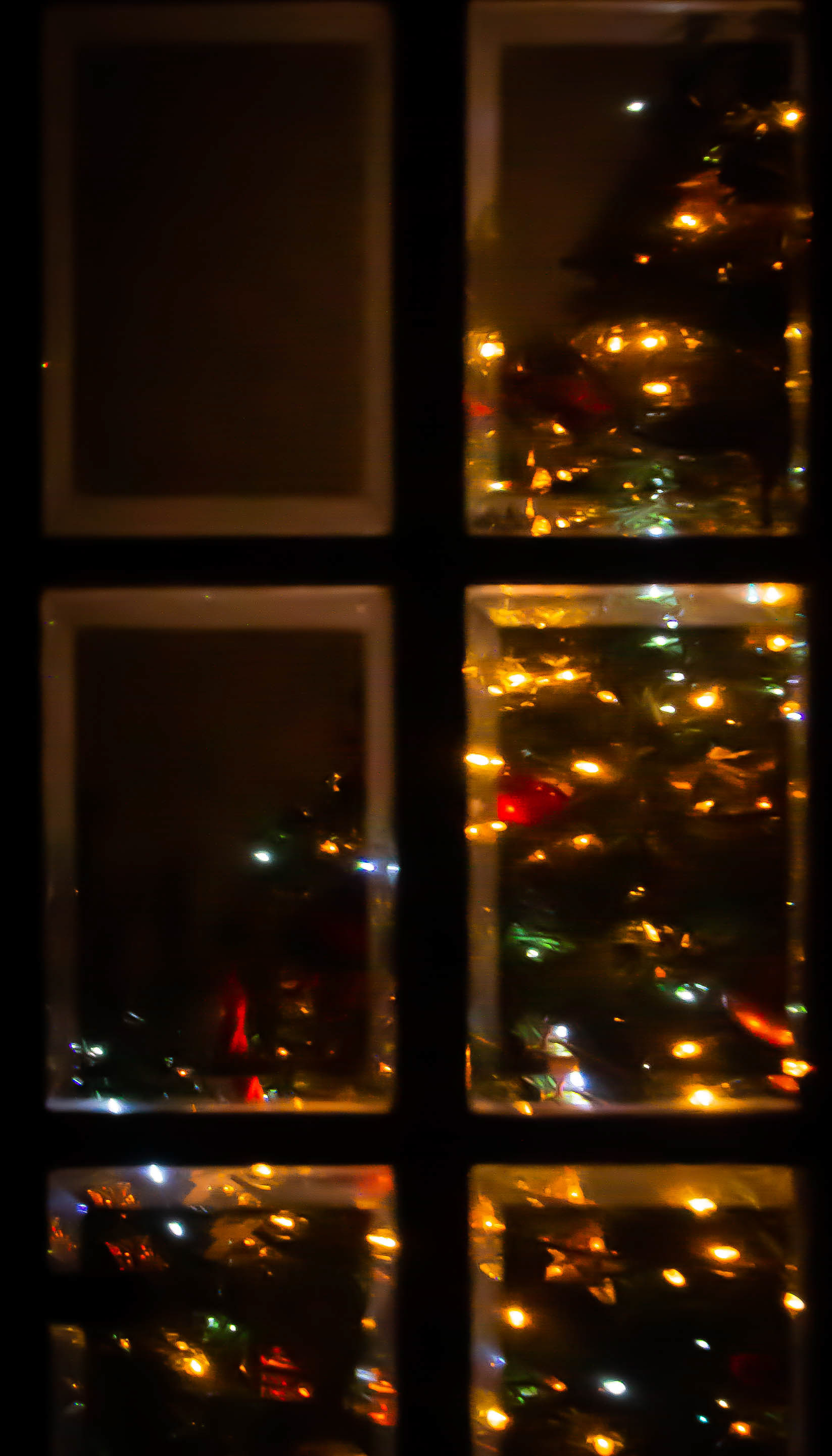 Loures (Portugal), december/2020.