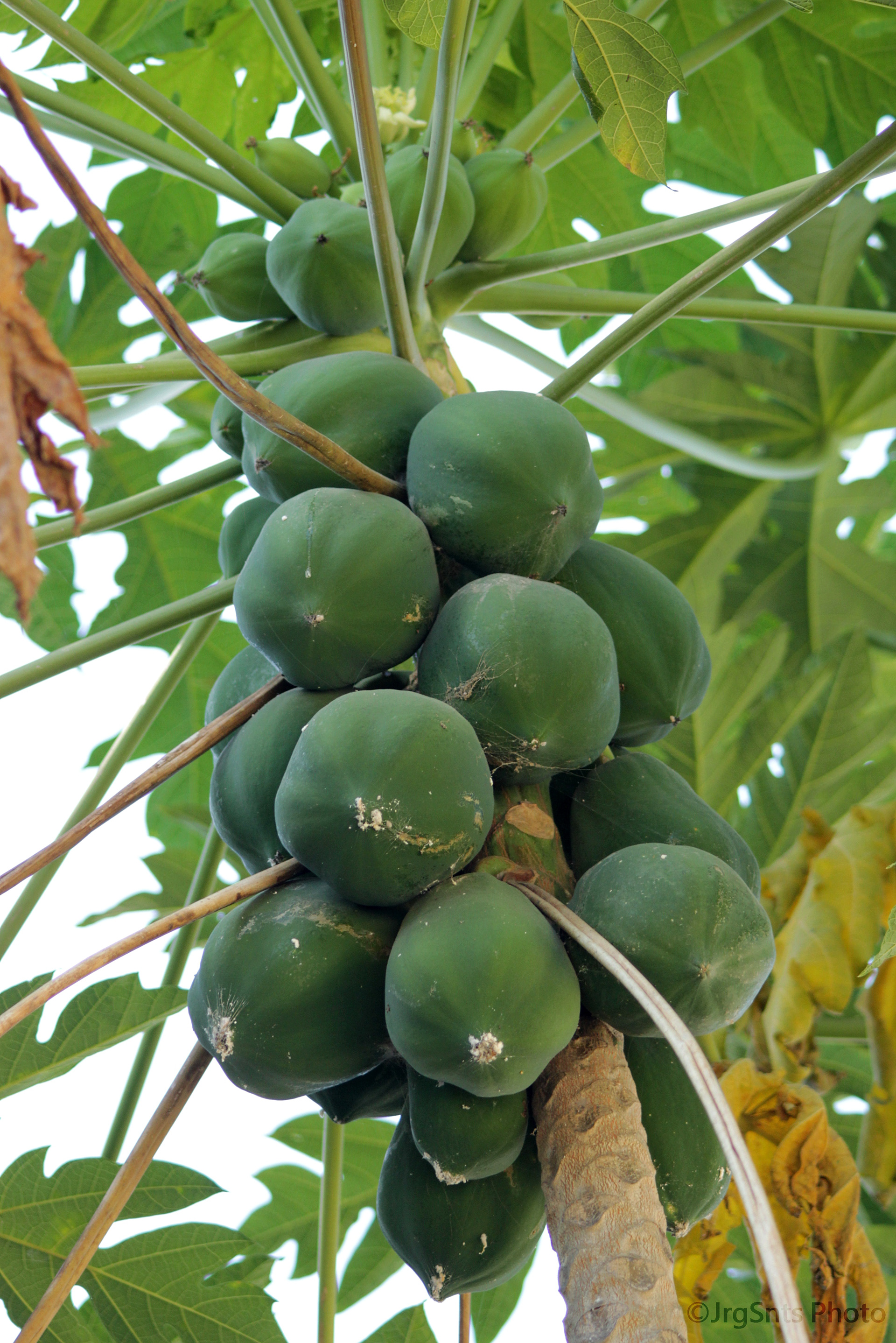 Timor-Leste