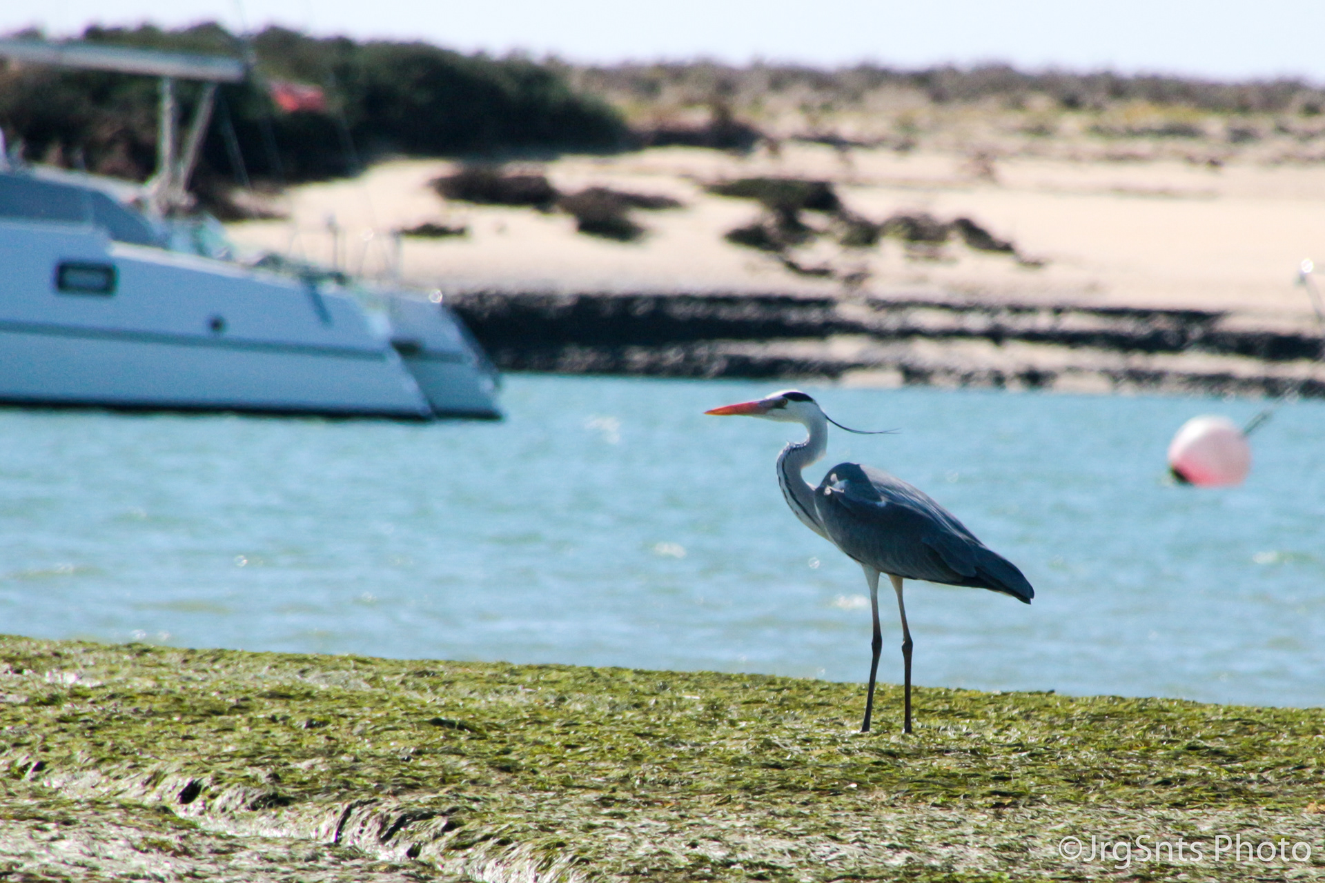 Faro (Portugal), march/2019.