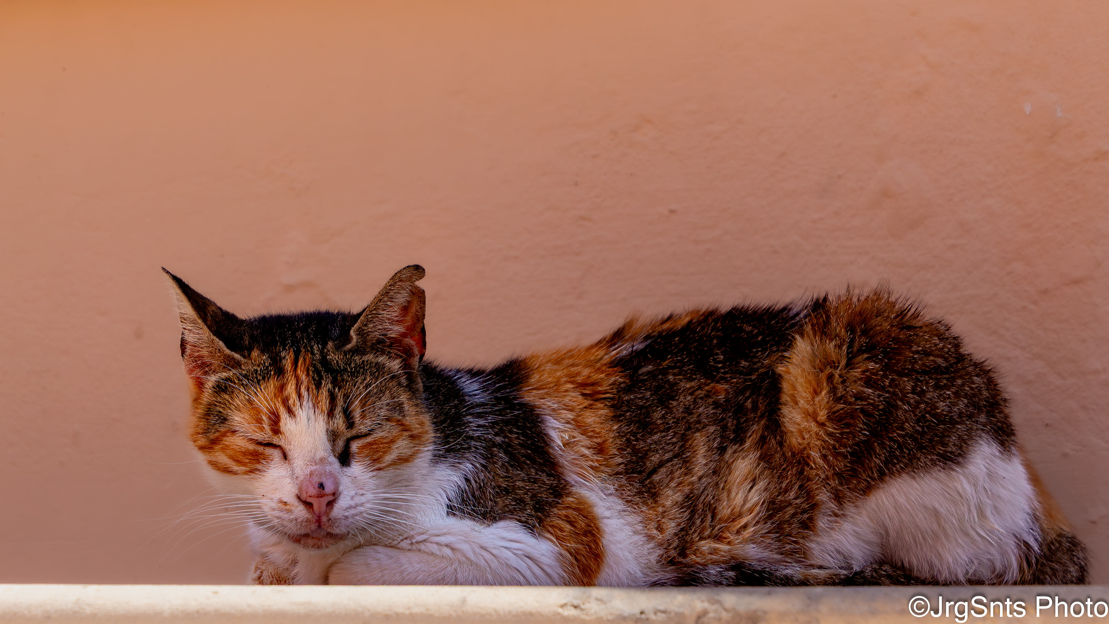 Rethymno (Greece), july/2025.
