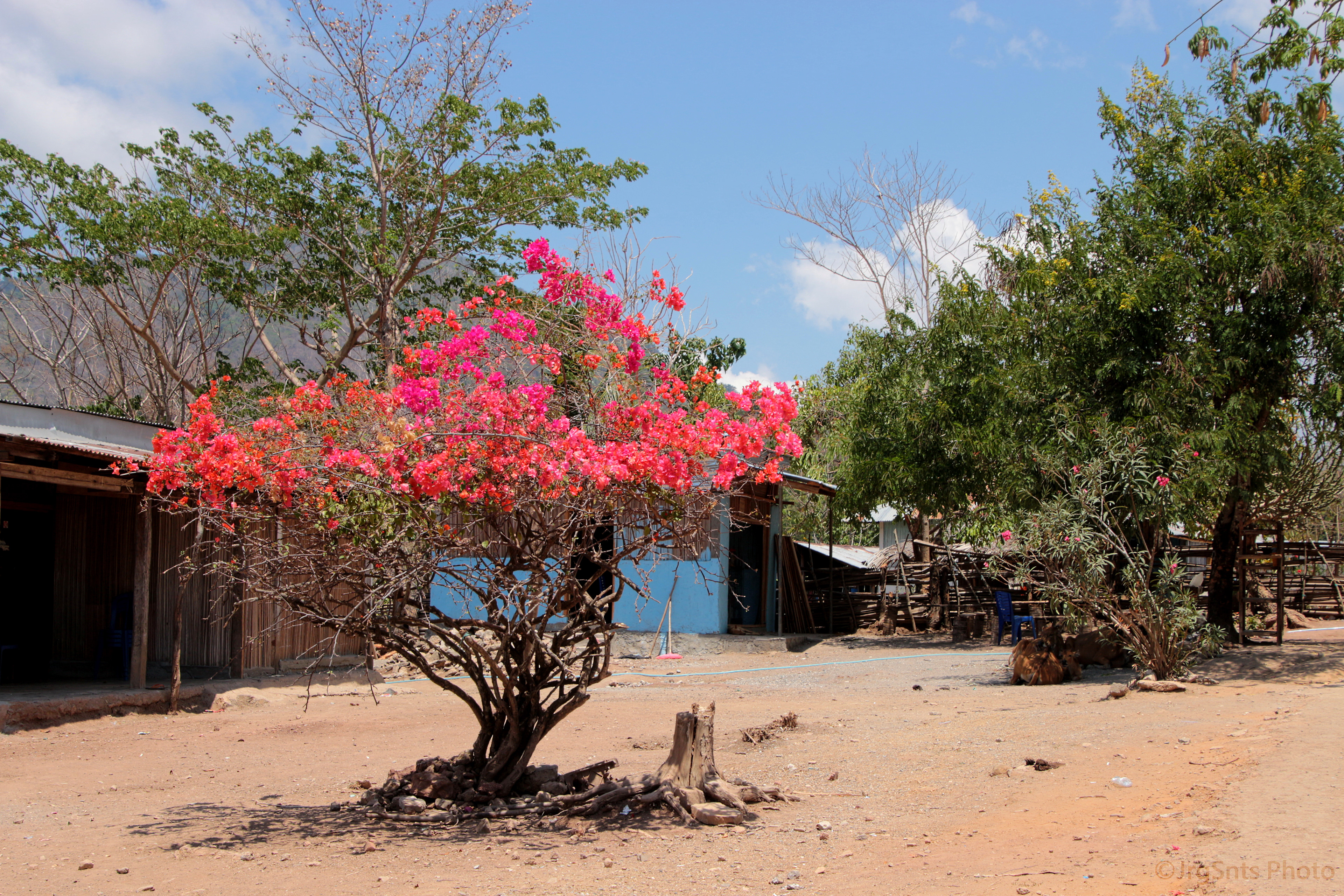 Timor-Leste
