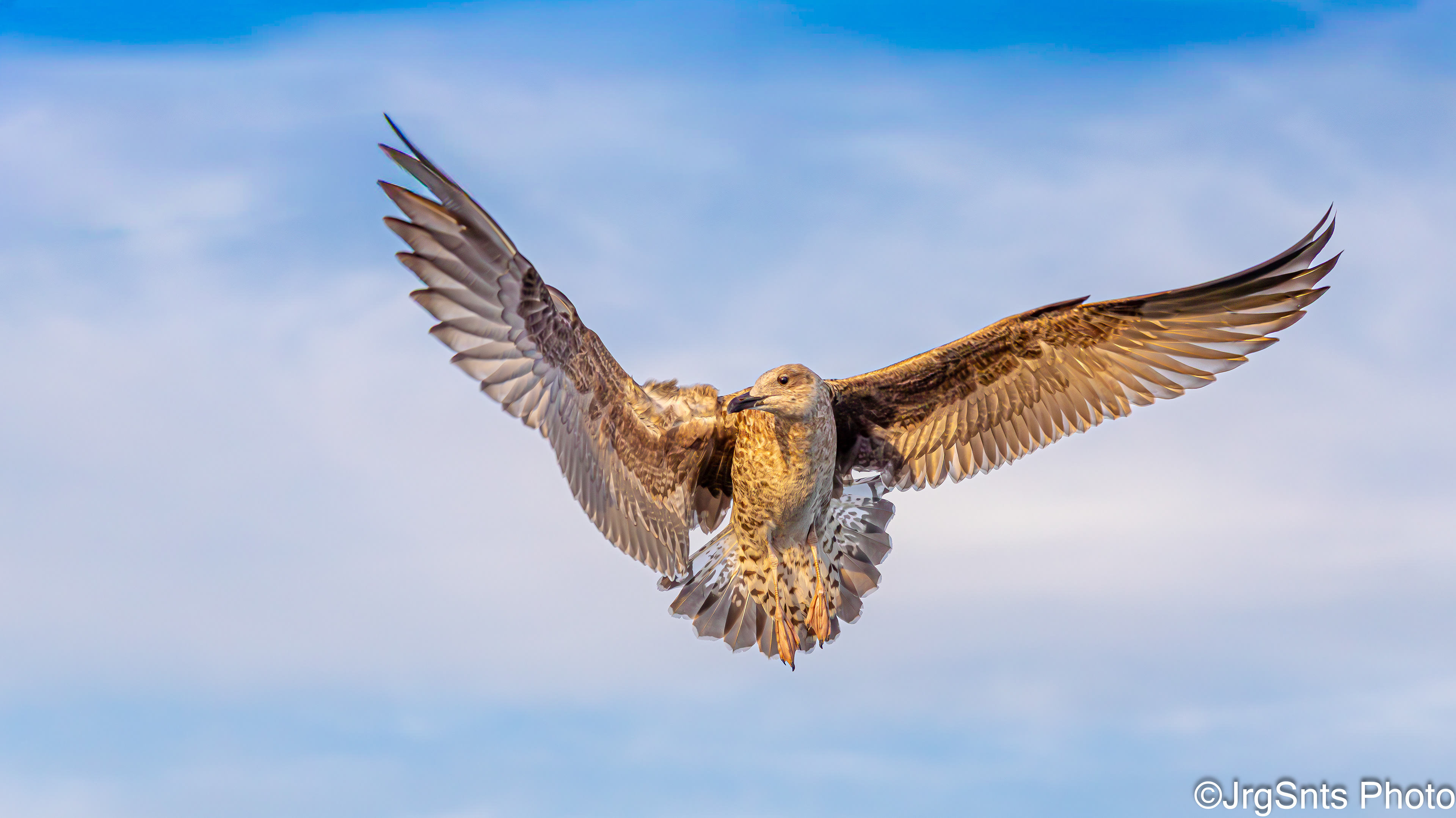 Isla Cristina (Spain), october/2025.