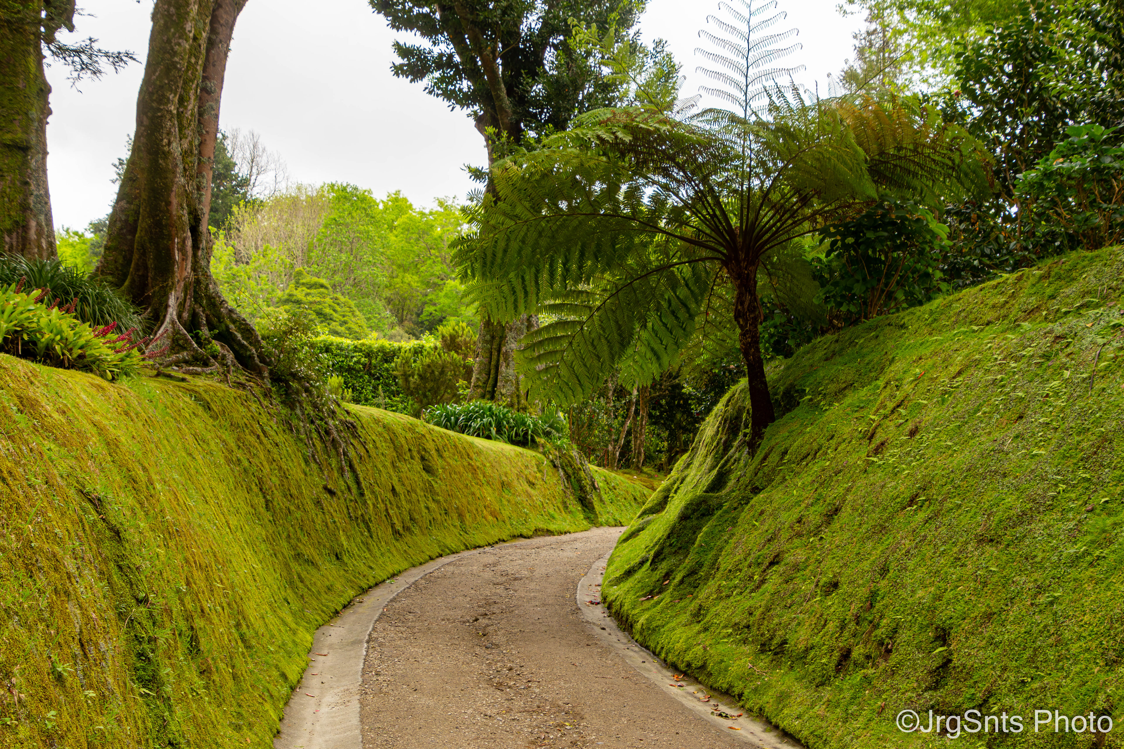 Azores (Portugal), abril/2023.