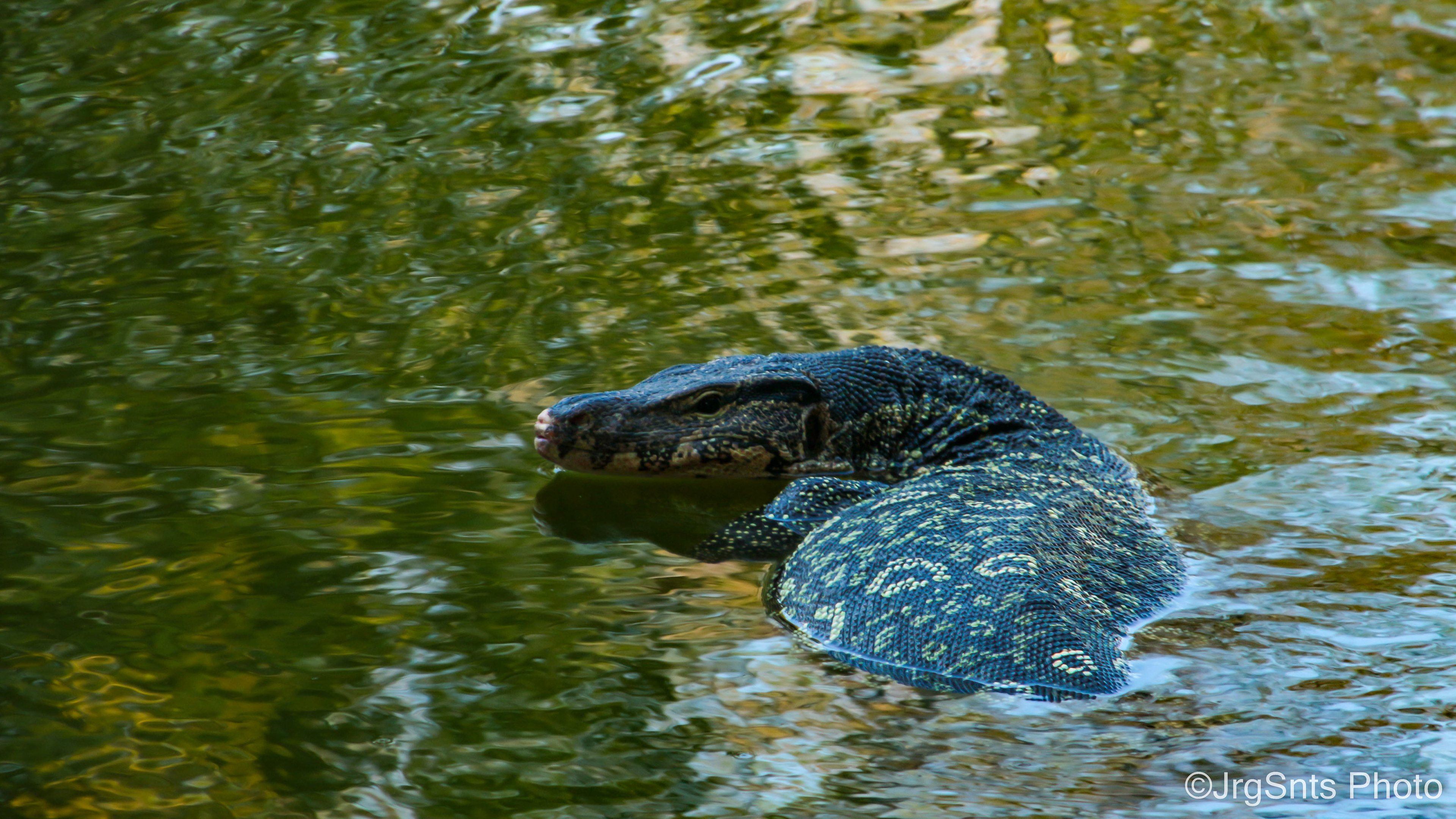 Phra Nakhon Si Ayutthaya (Thailand), december/2015.