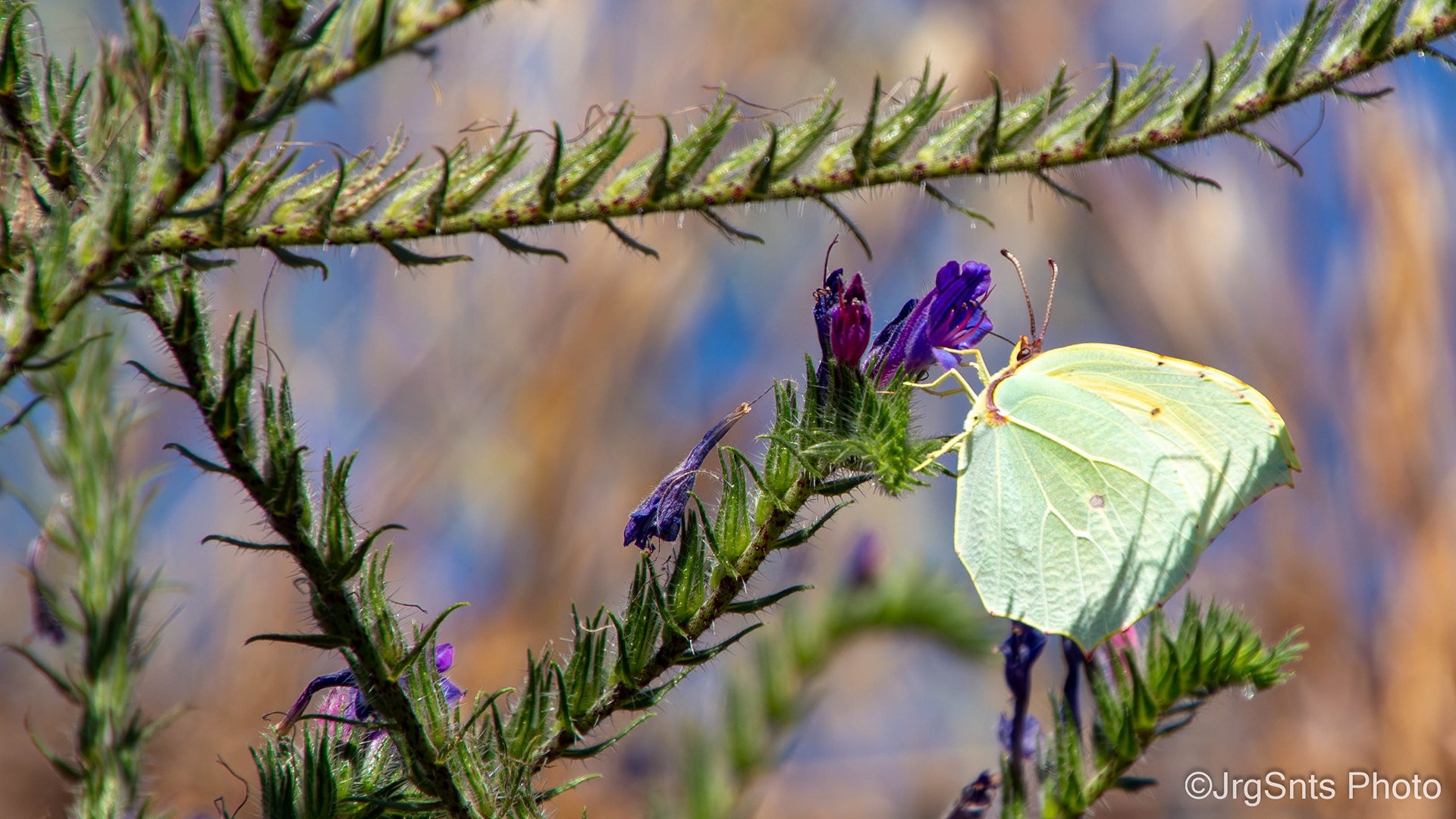 Conímbriga (Portugal), august/2023.