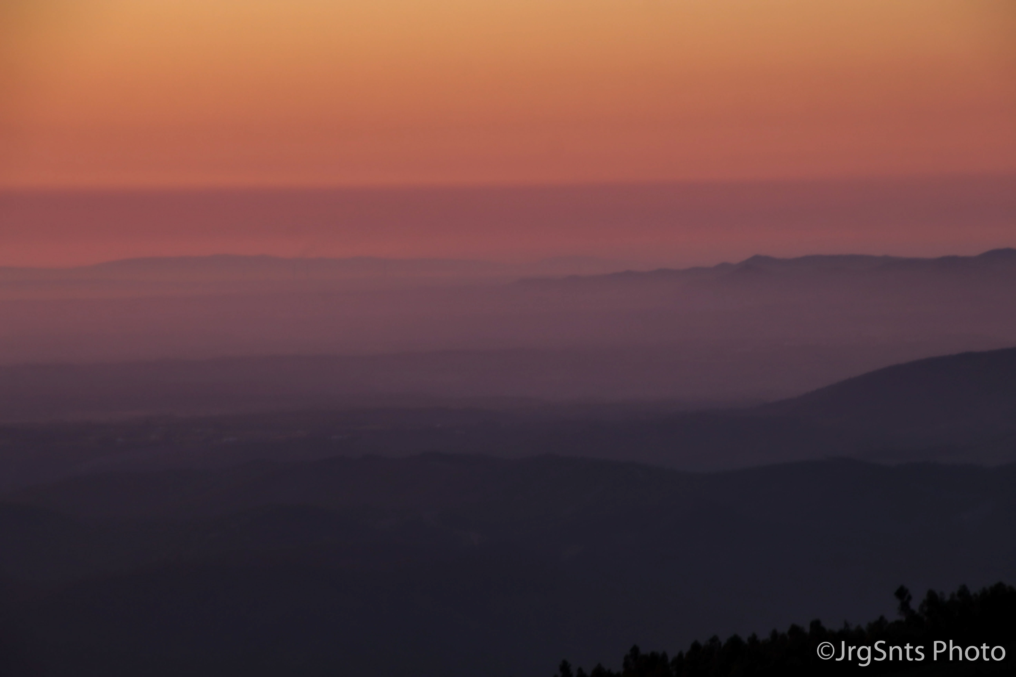 Monchique (Portugal), june/2019.