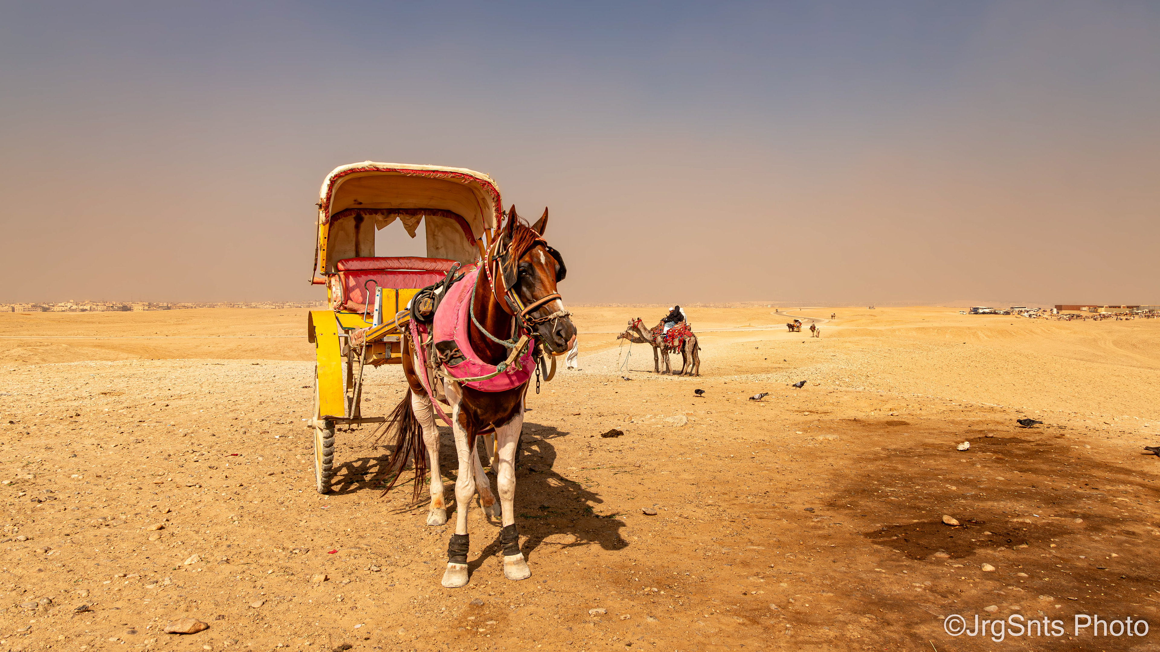 Giza (Eqypt), september/2024.