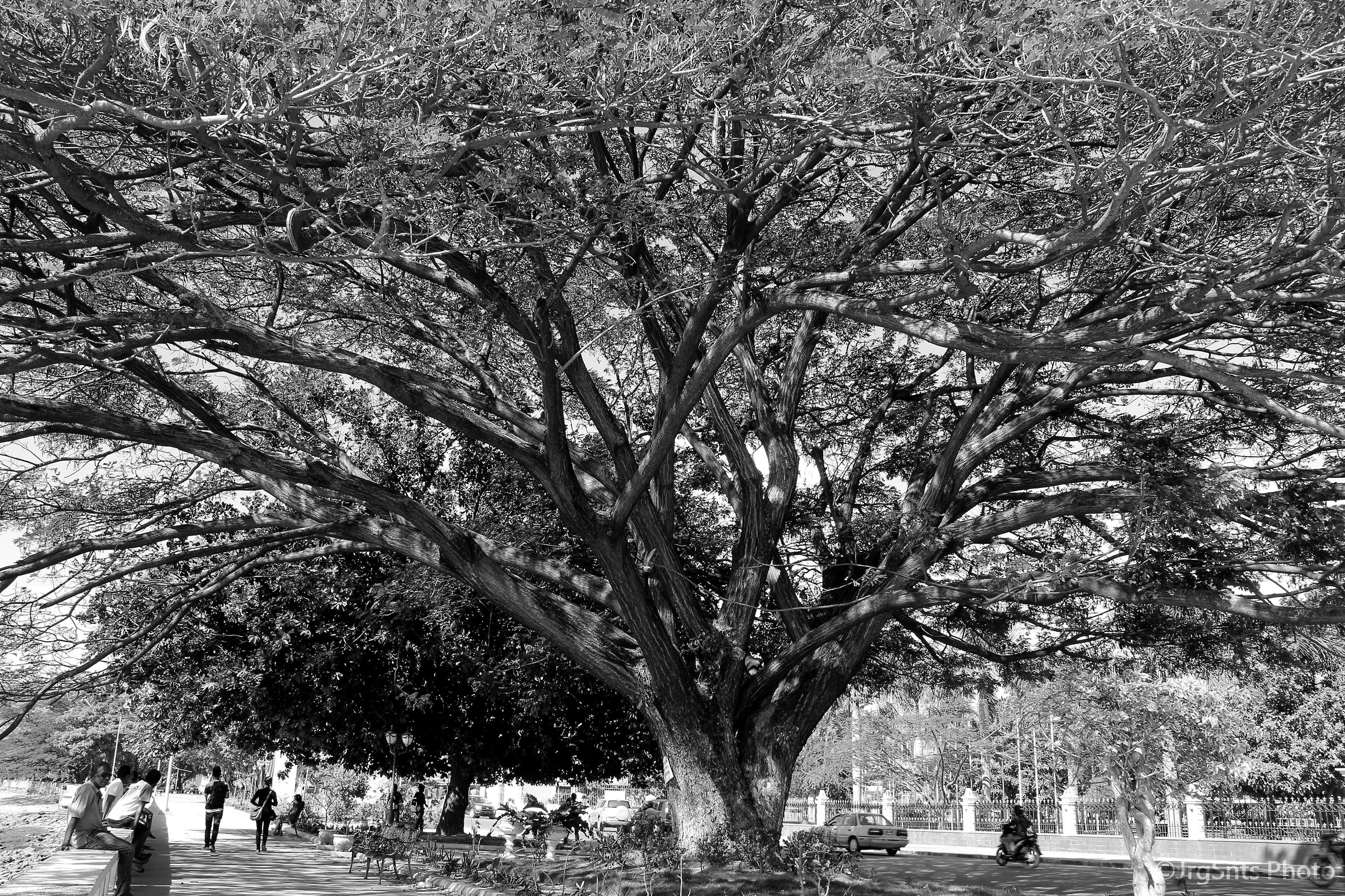 East Timor (Timor-Leste)