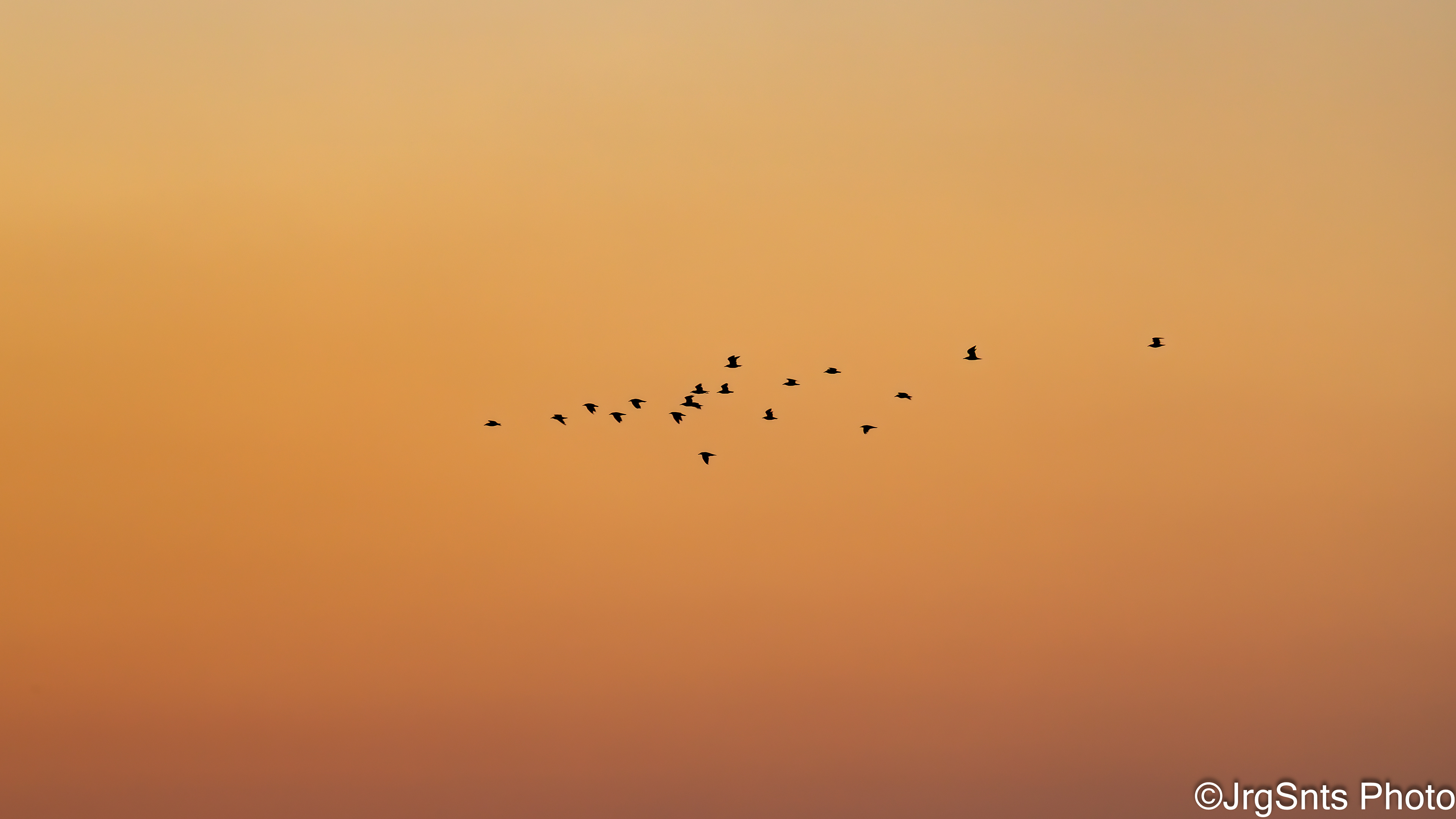 Lisbon (Portugal), august/2025.