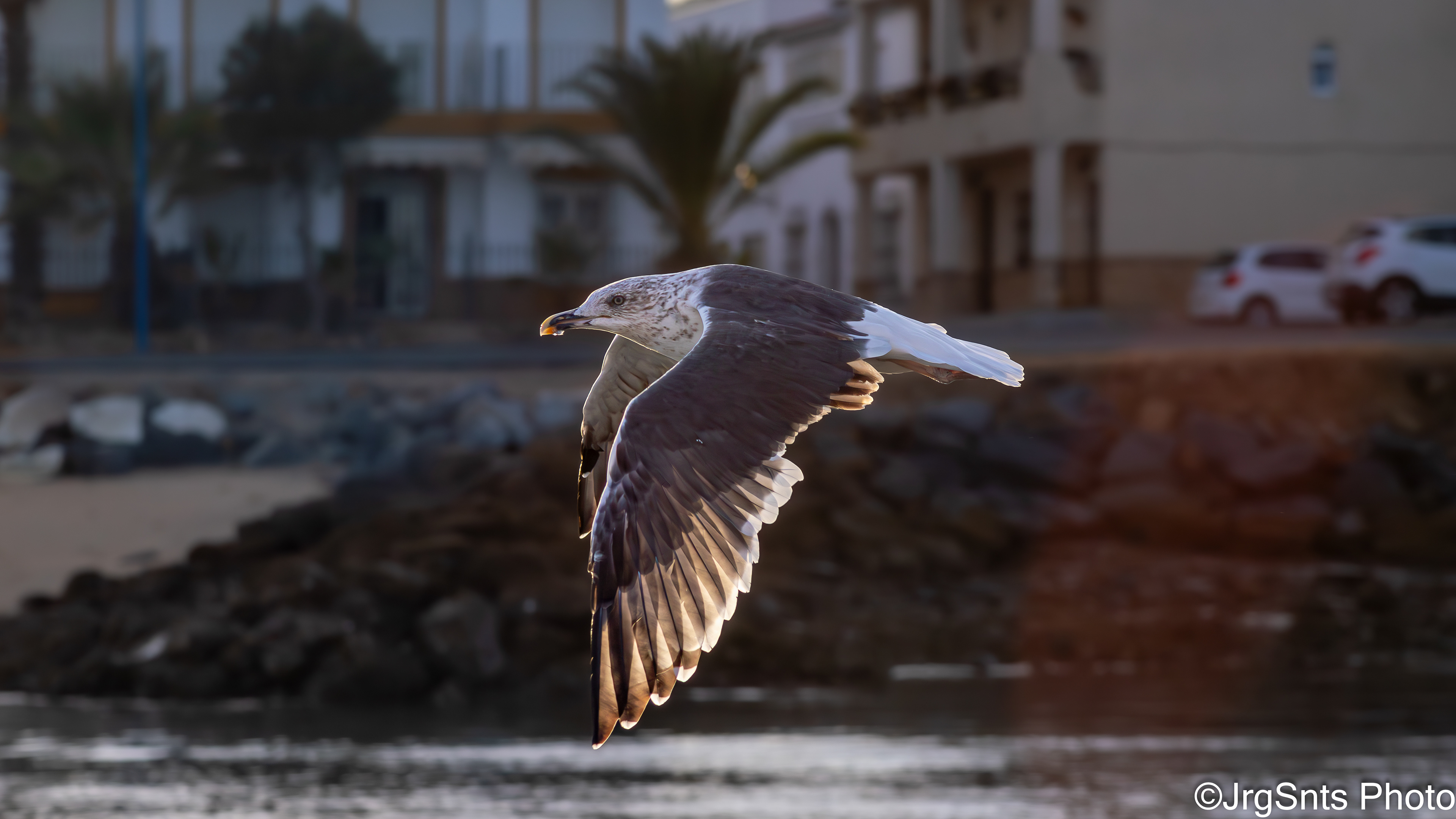 Isla Cristina (Spain), october/2025.