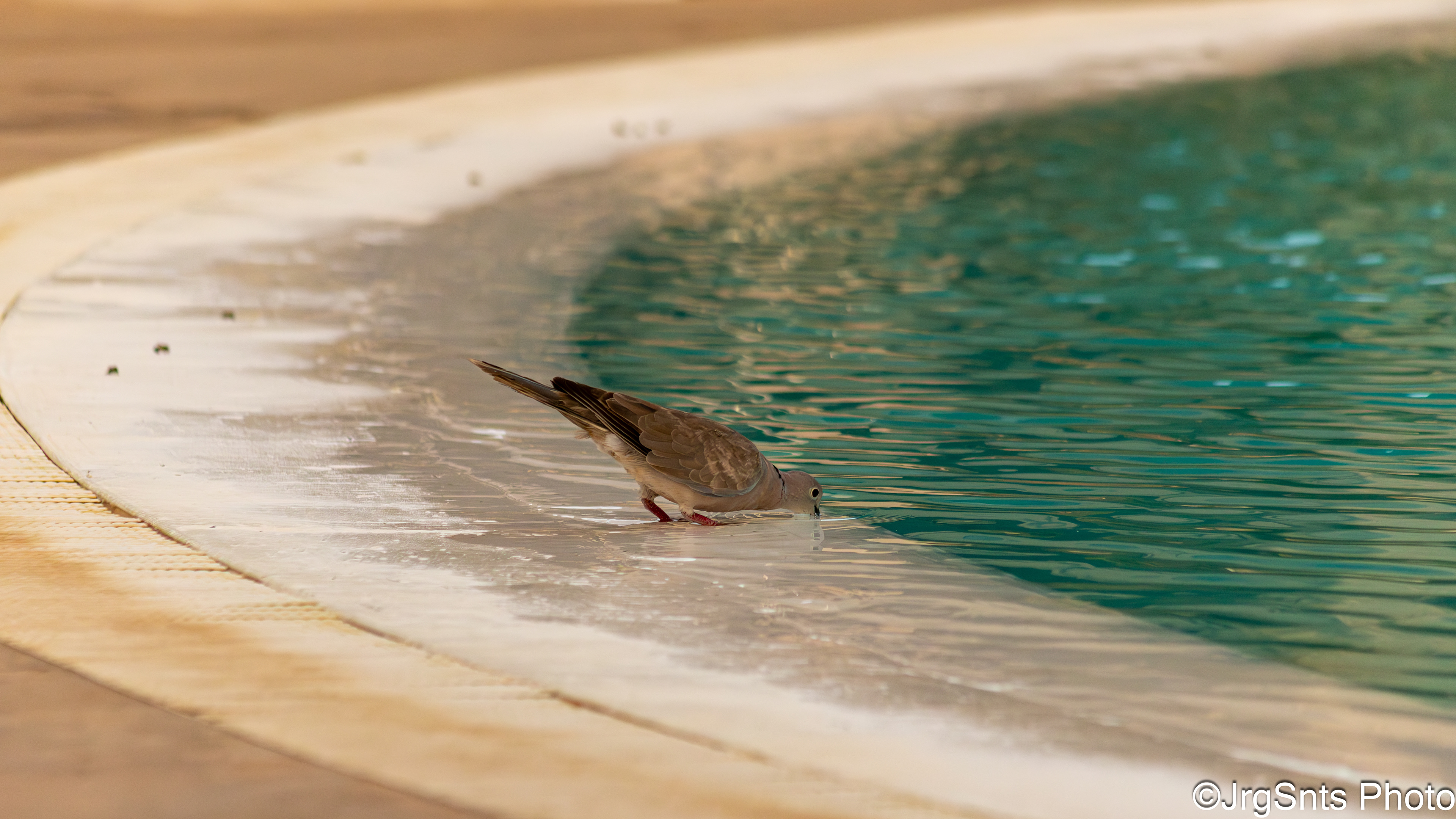 Sal (Cape Verde), august/2023.
