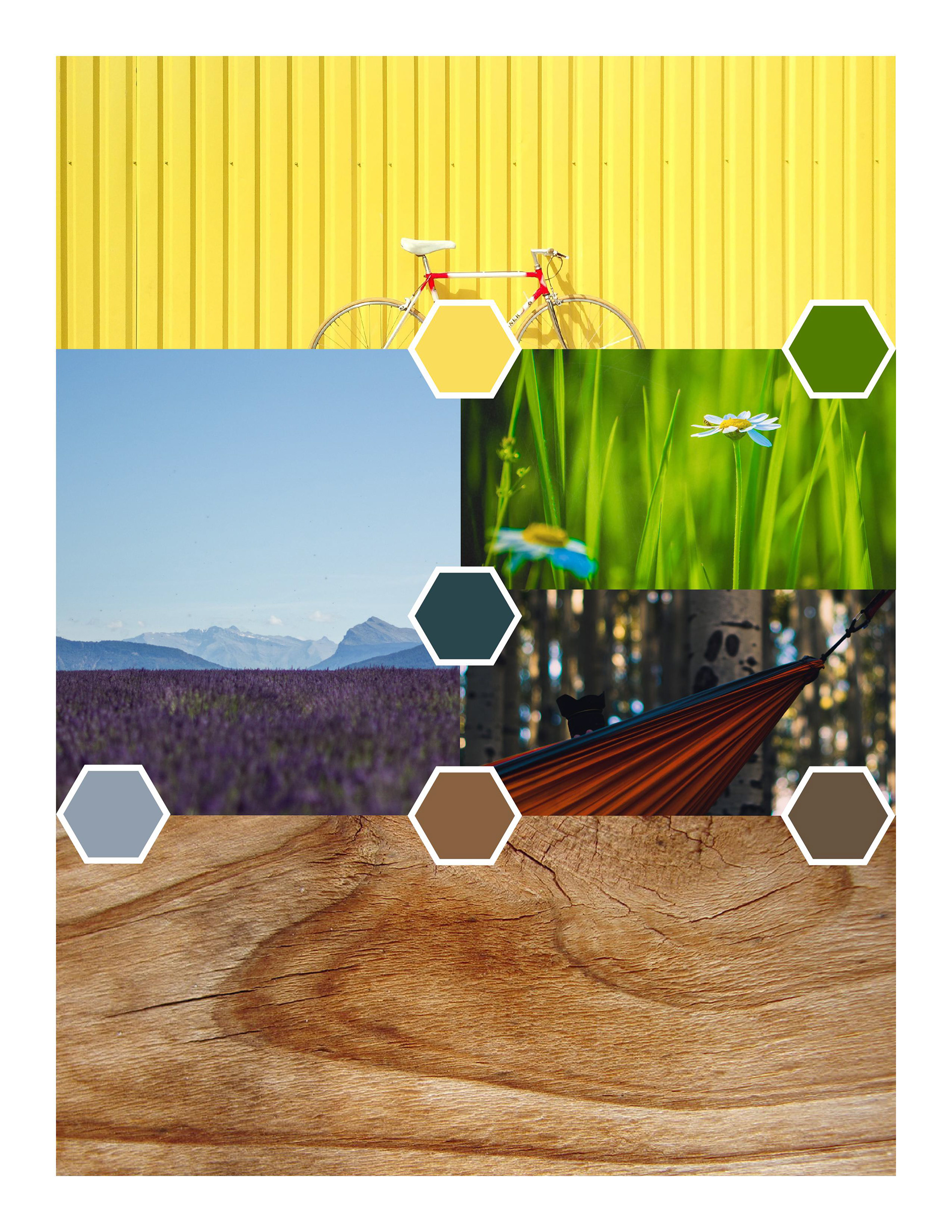 Color Moodboard Option #1