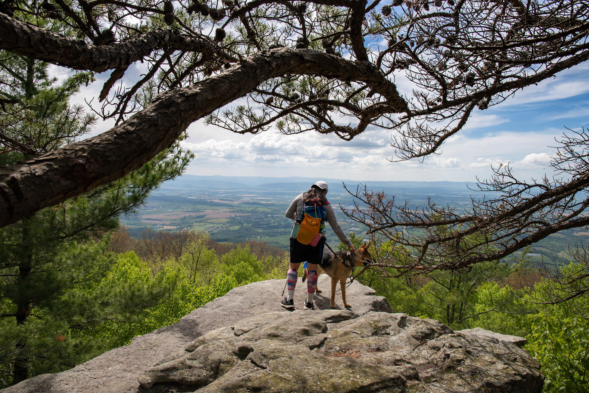 Overlook of the Harrisionburg Valley