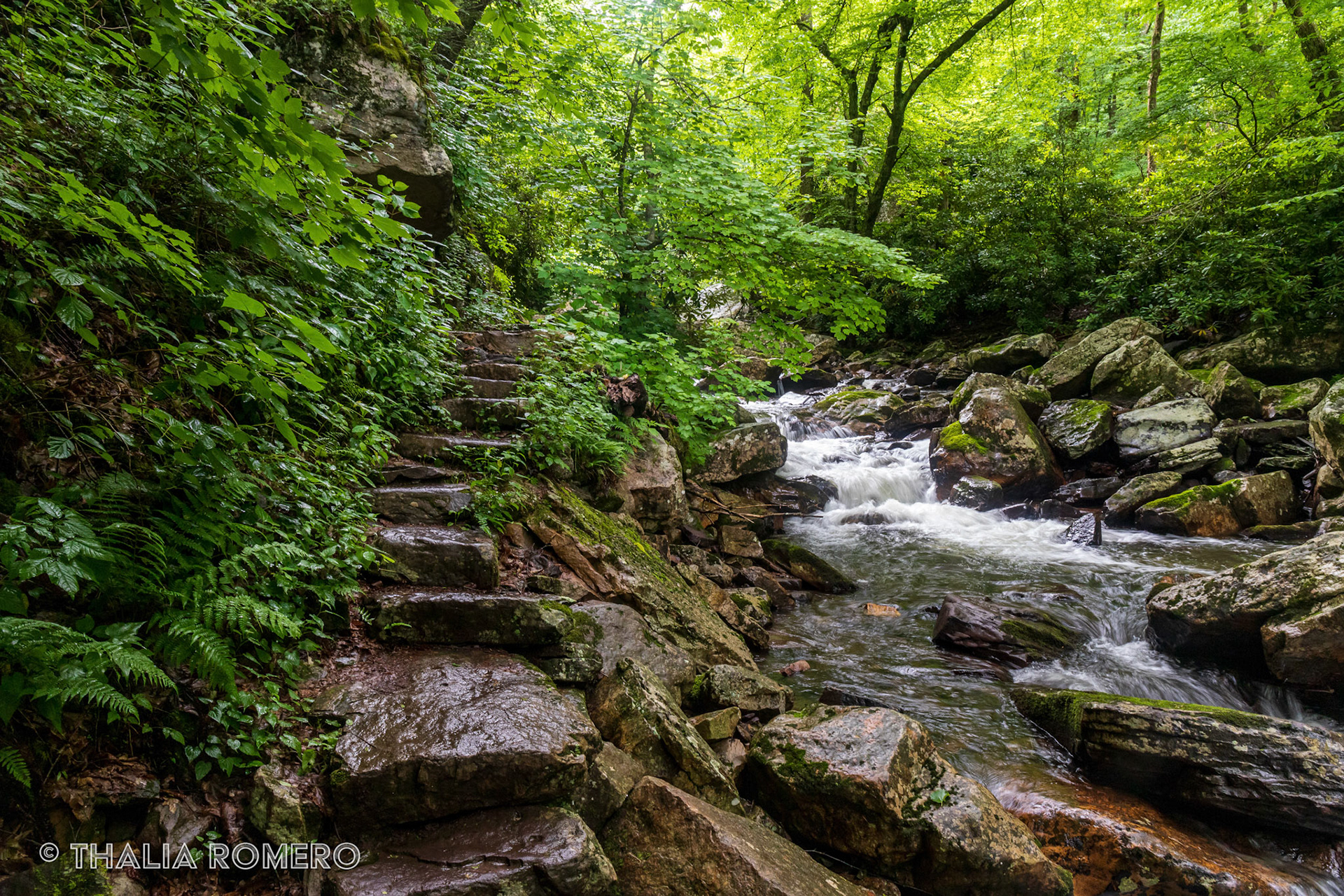 Lower Trail