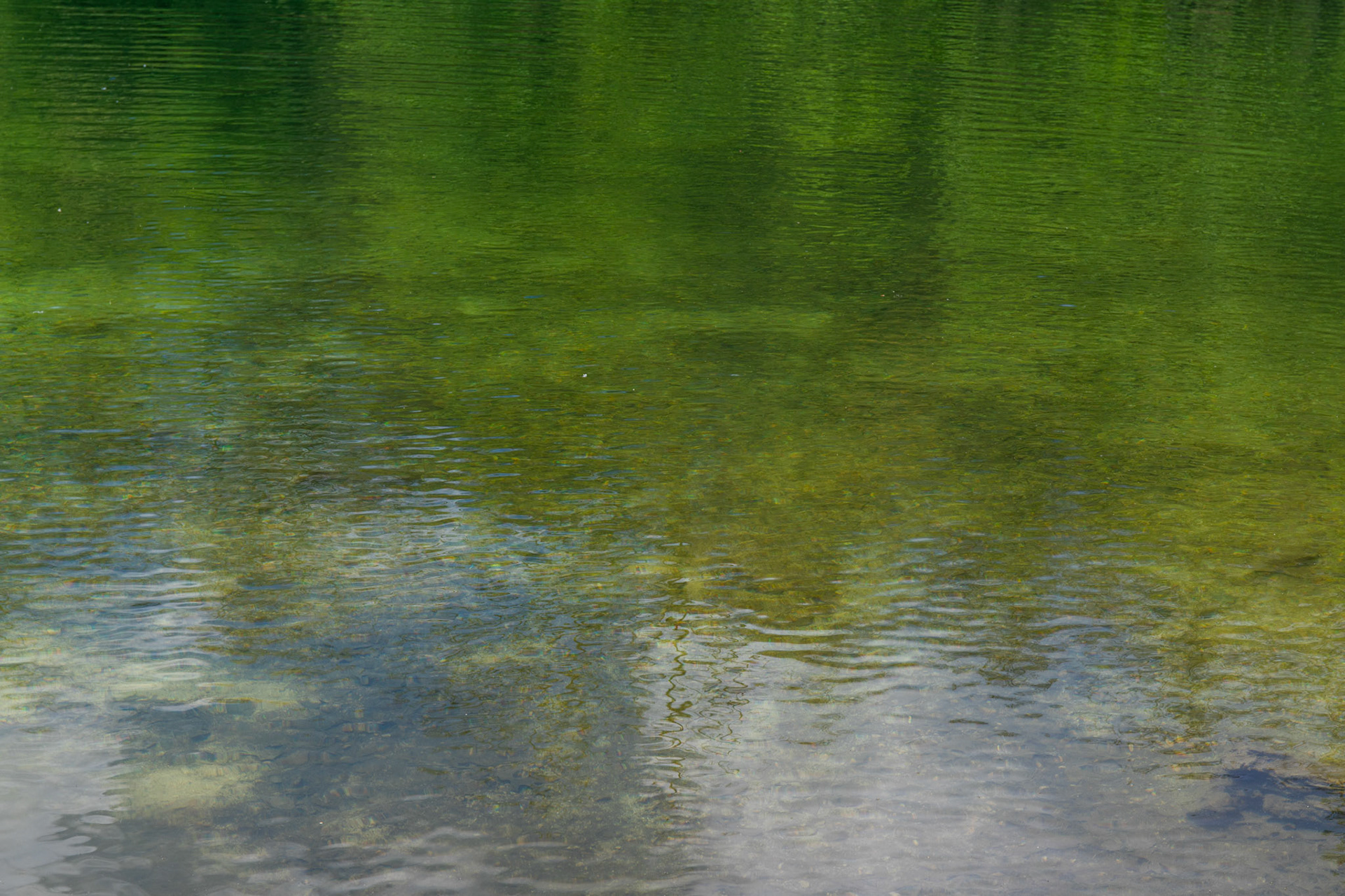 Clean emerald water