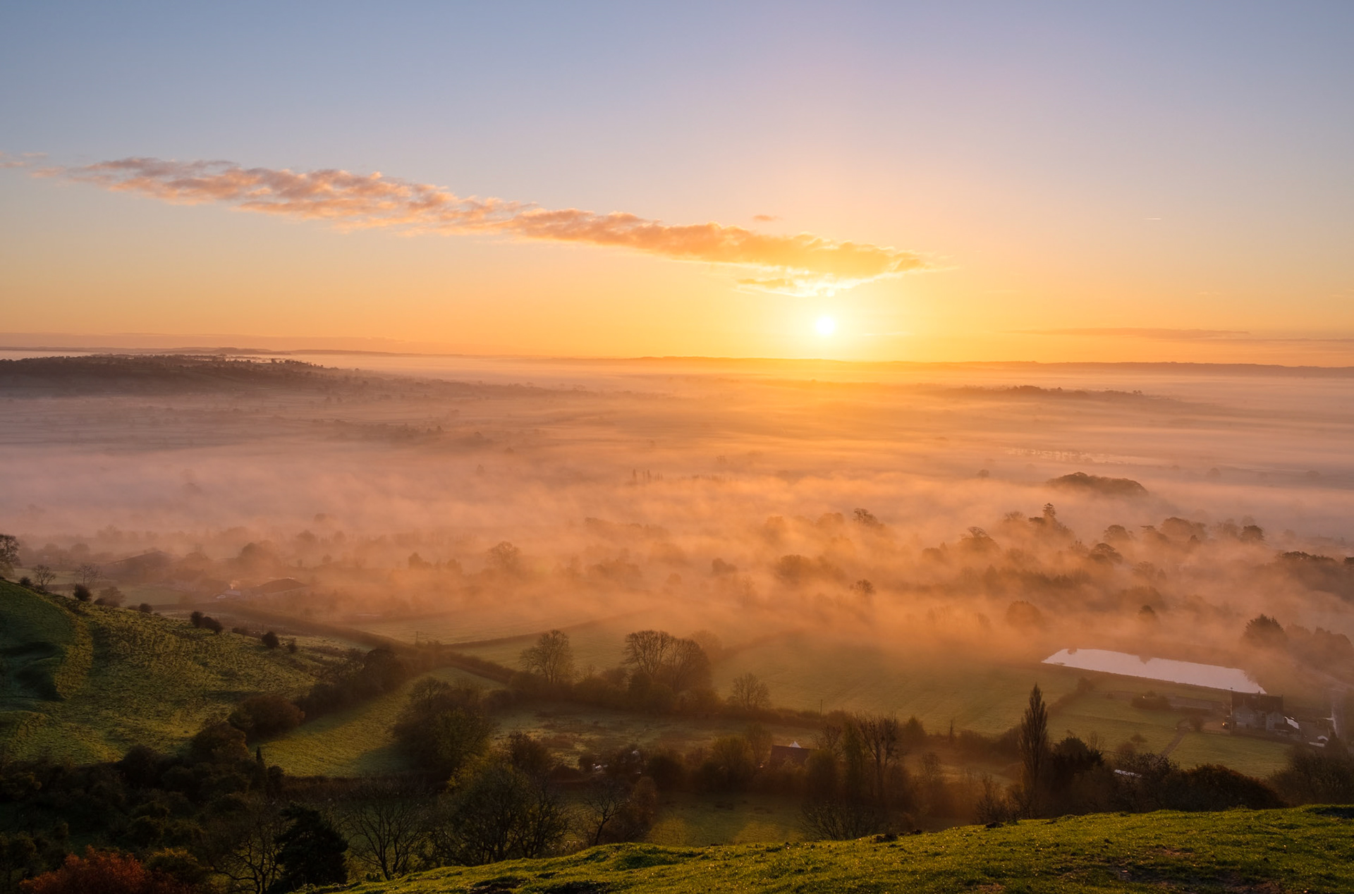 Golden Morning Light
