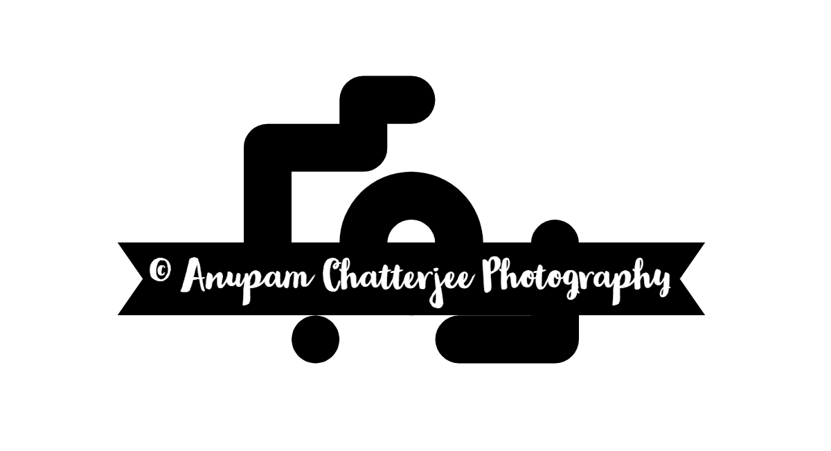 Anupam Chatterjee