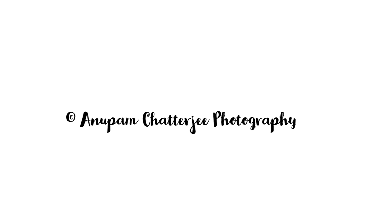 Anupam Chatterjee
