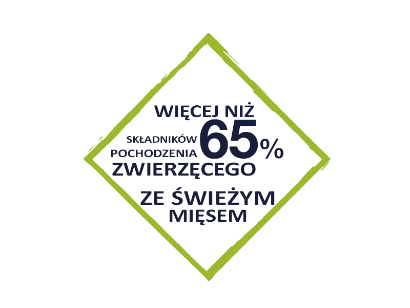 Marcin Tatara - Loga, infografiki