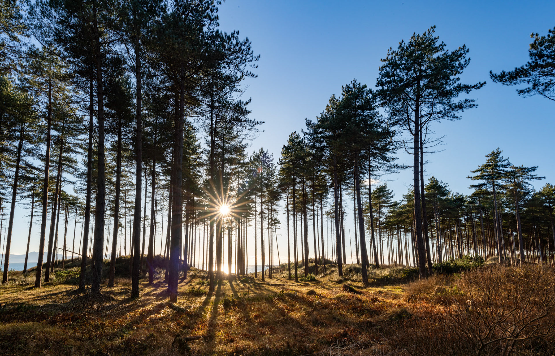 Sunset on llandwyn Island , ISle of Anglesey