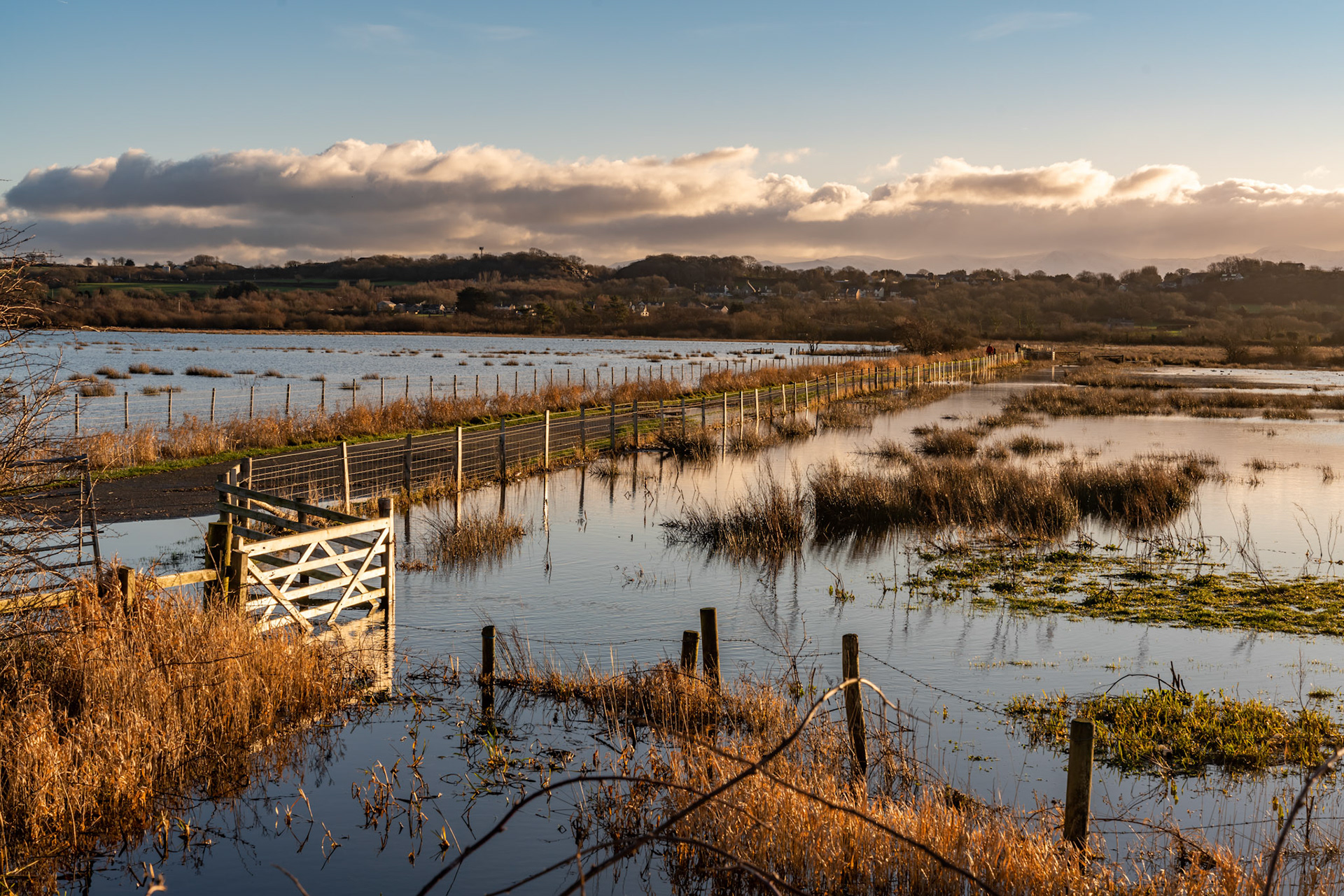 Walking around the wet lands bird sancutaury Anglesey