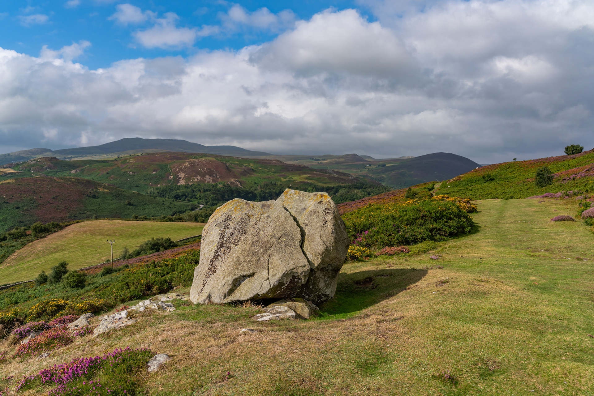 Views around Conwy Mountain with the heather out