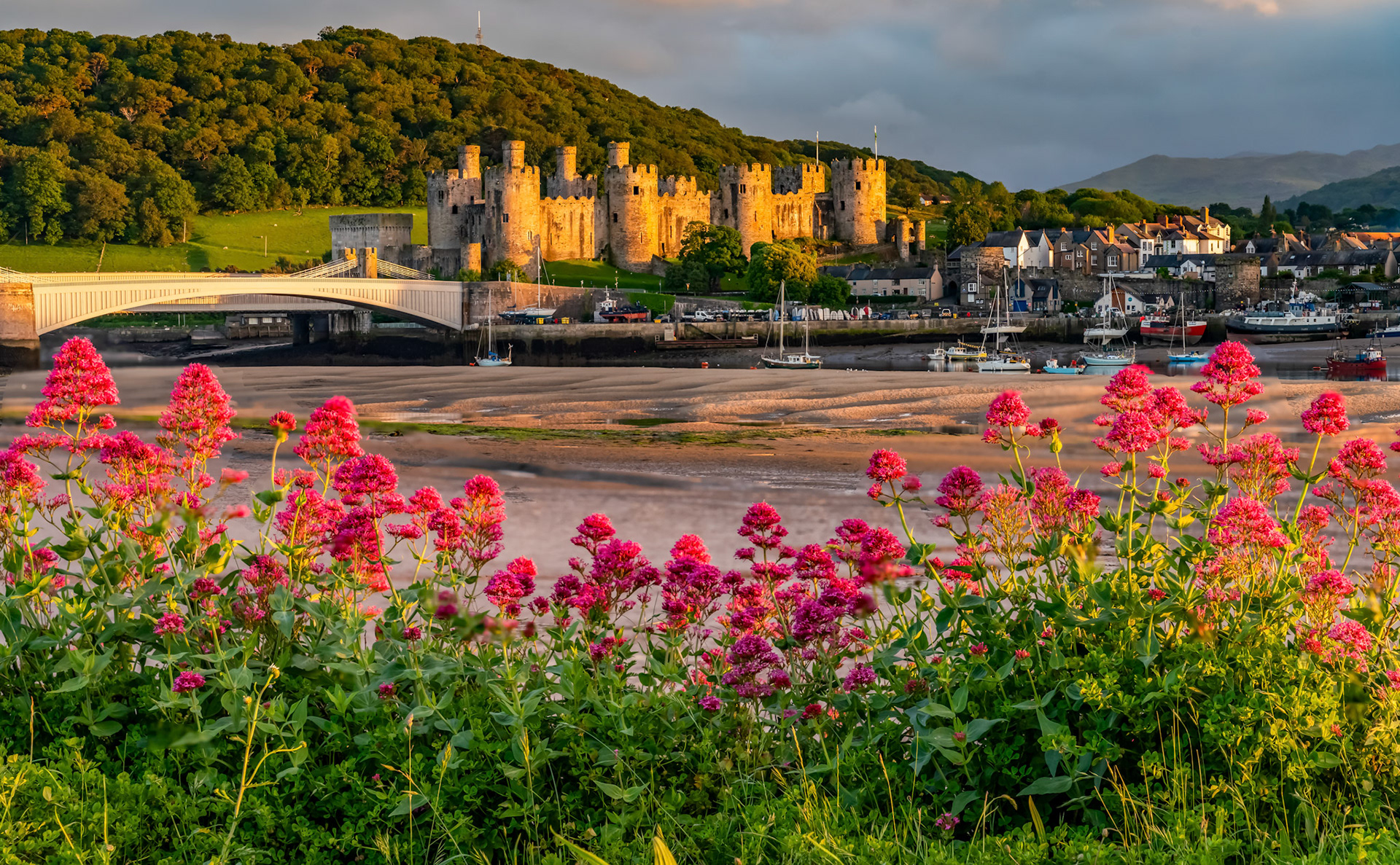 Sunset over the Conwy Estuary and Castle