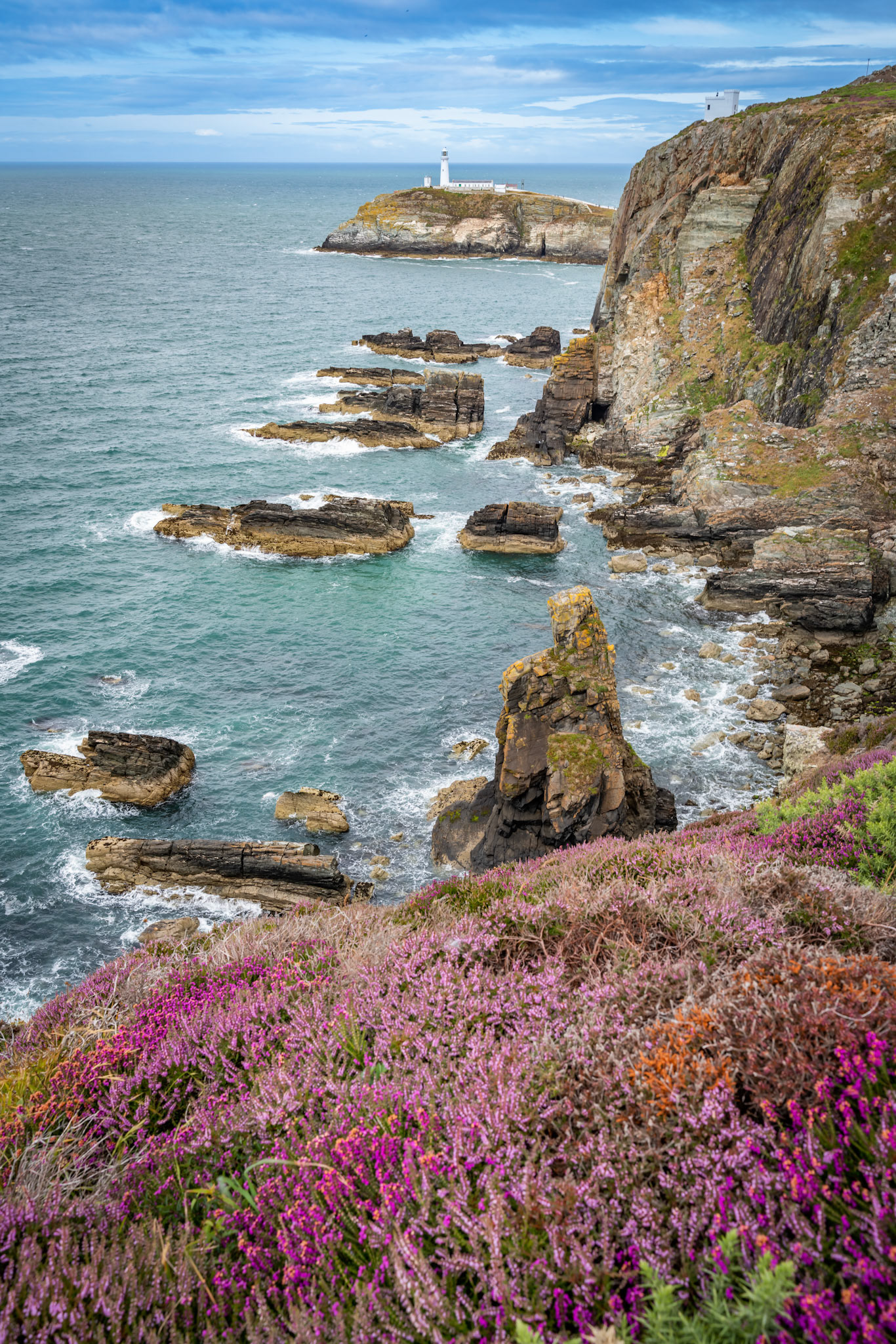 Views around South Stack Lighthouse with the heather out