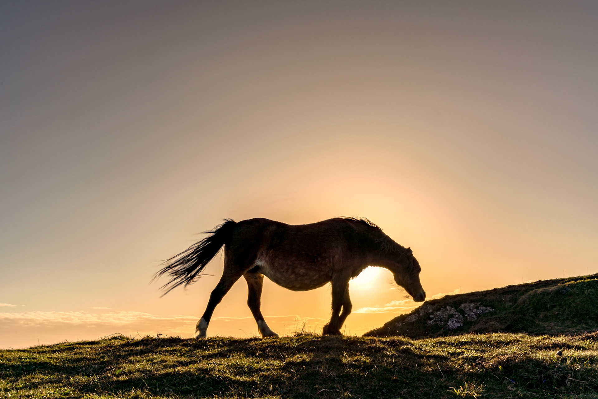 Sunset on llandwyn Island Anglesey