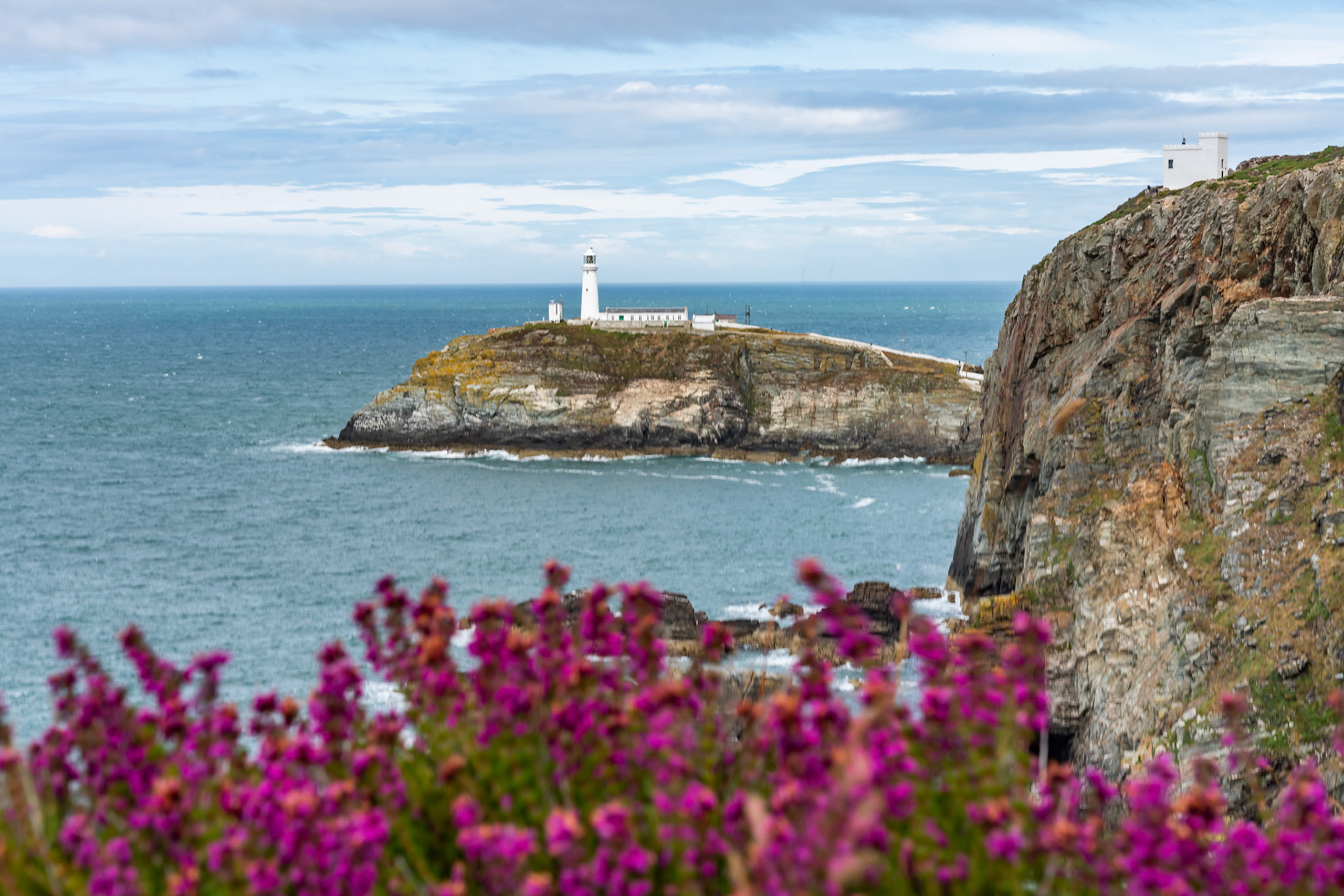 Views around South Stack Lighthouse with the heather out
