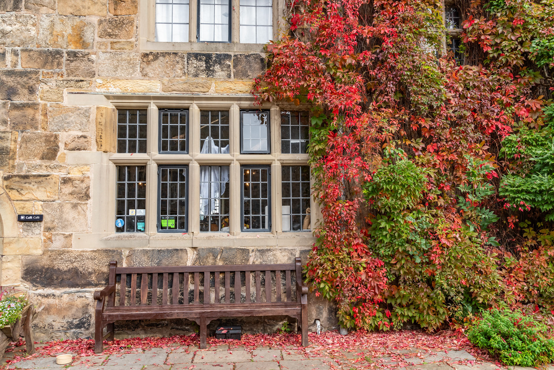 Mist and fog driving through Snowdonia , North Wales