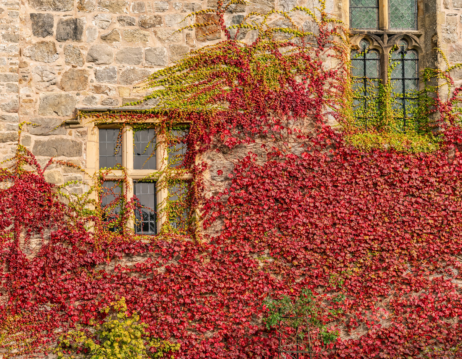 Mist and fog driving through Snowdonia , North Wales