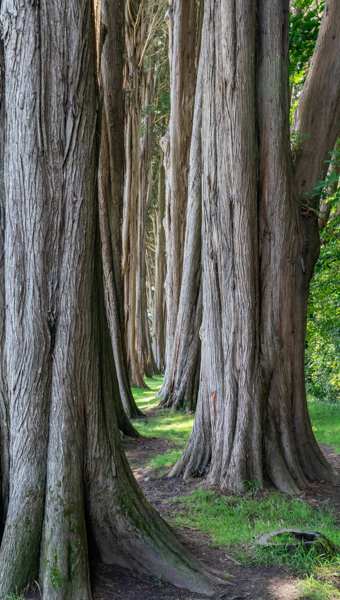 views from Anglesey across the Menai Straits