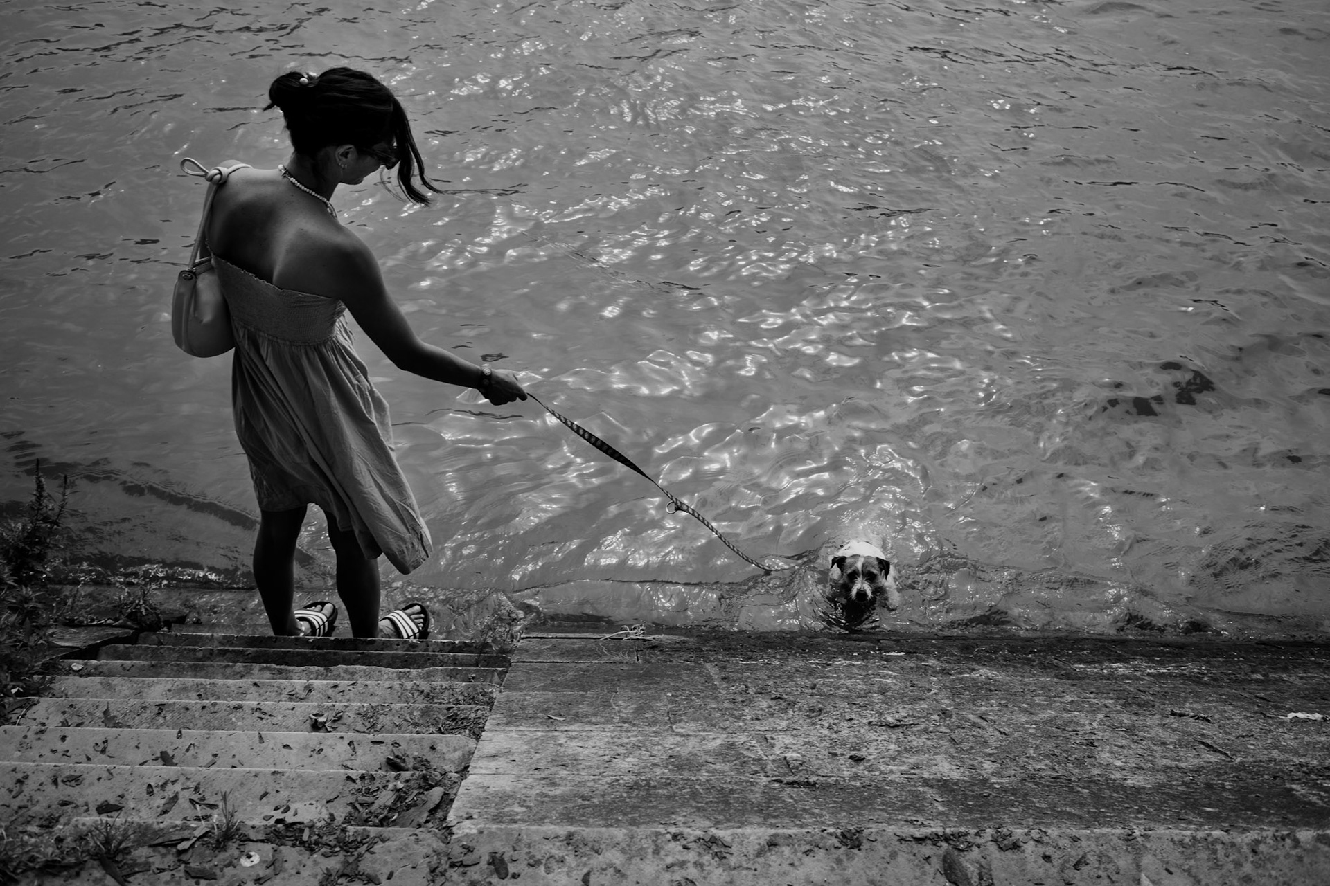 French woman bathing her dog in the Seine river in Paris.