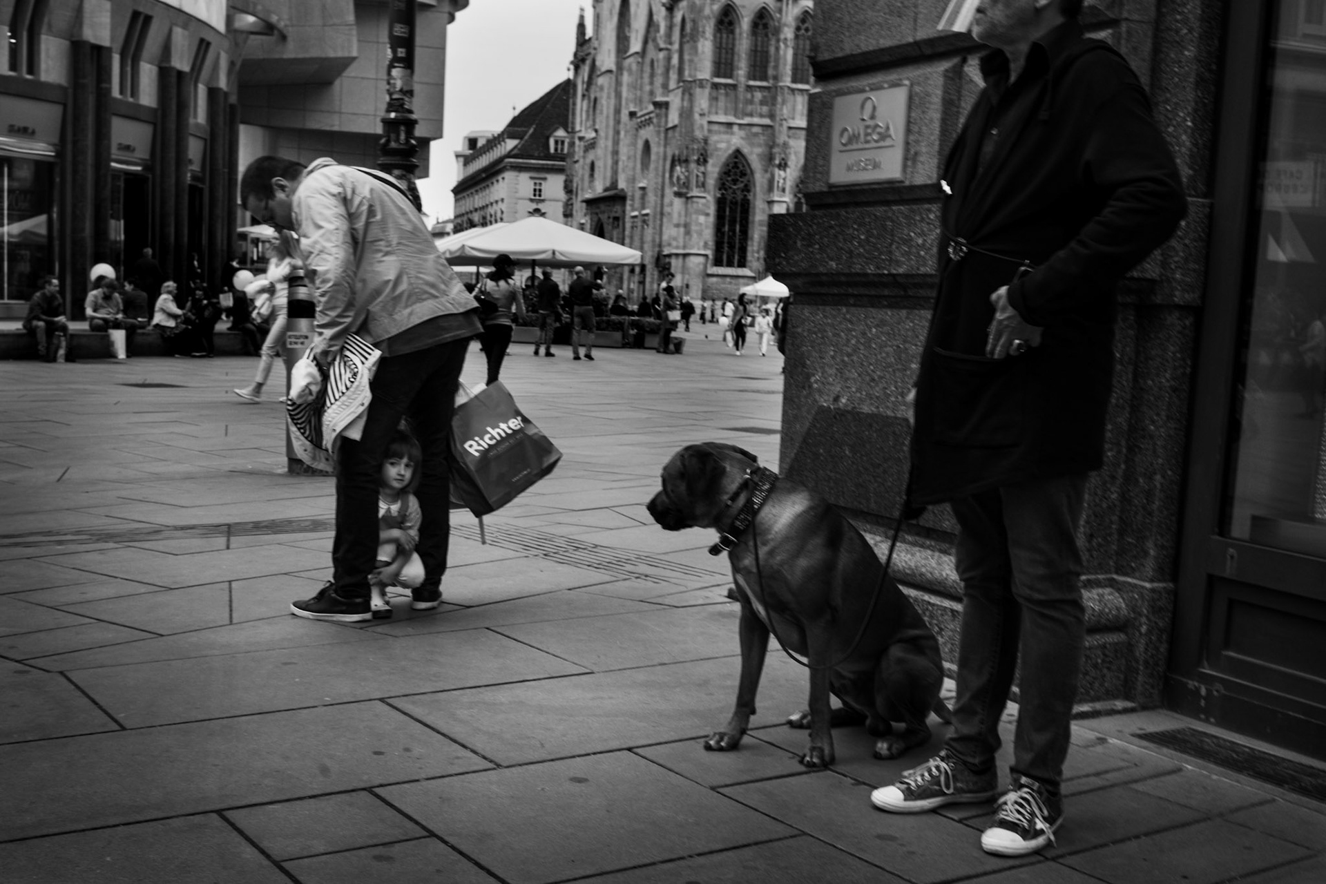 A staring contest between a pit bull dog and a little girl in the center of Vienna, Austria.