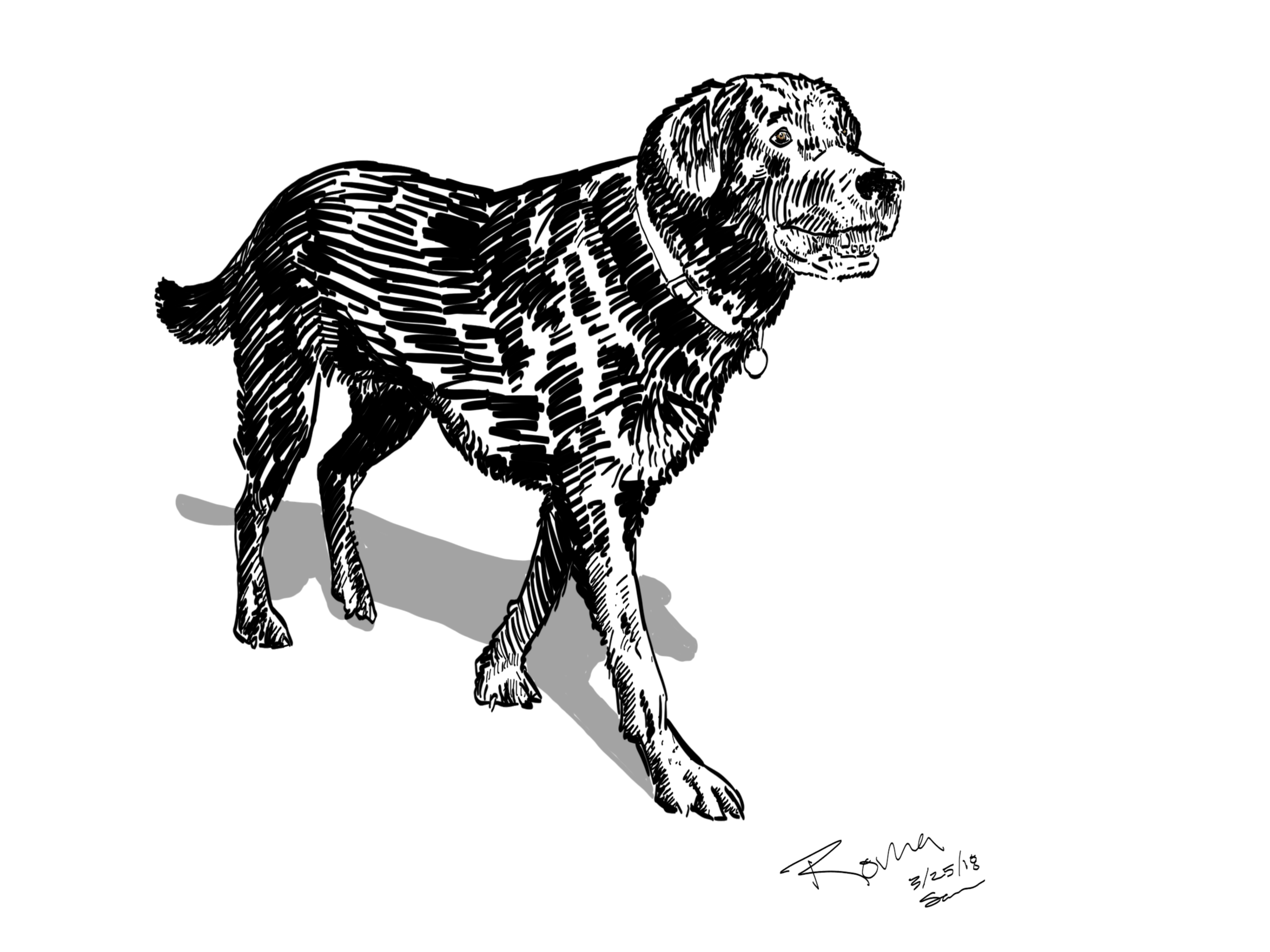 Roma the lab