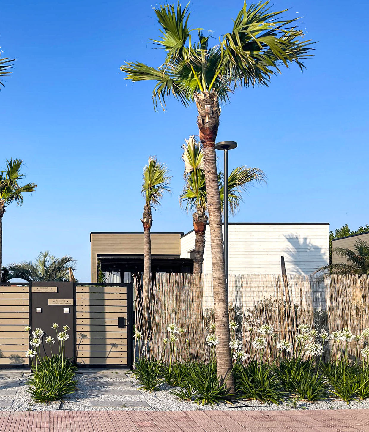 Ortosalato argicamping, Monforte (ME)